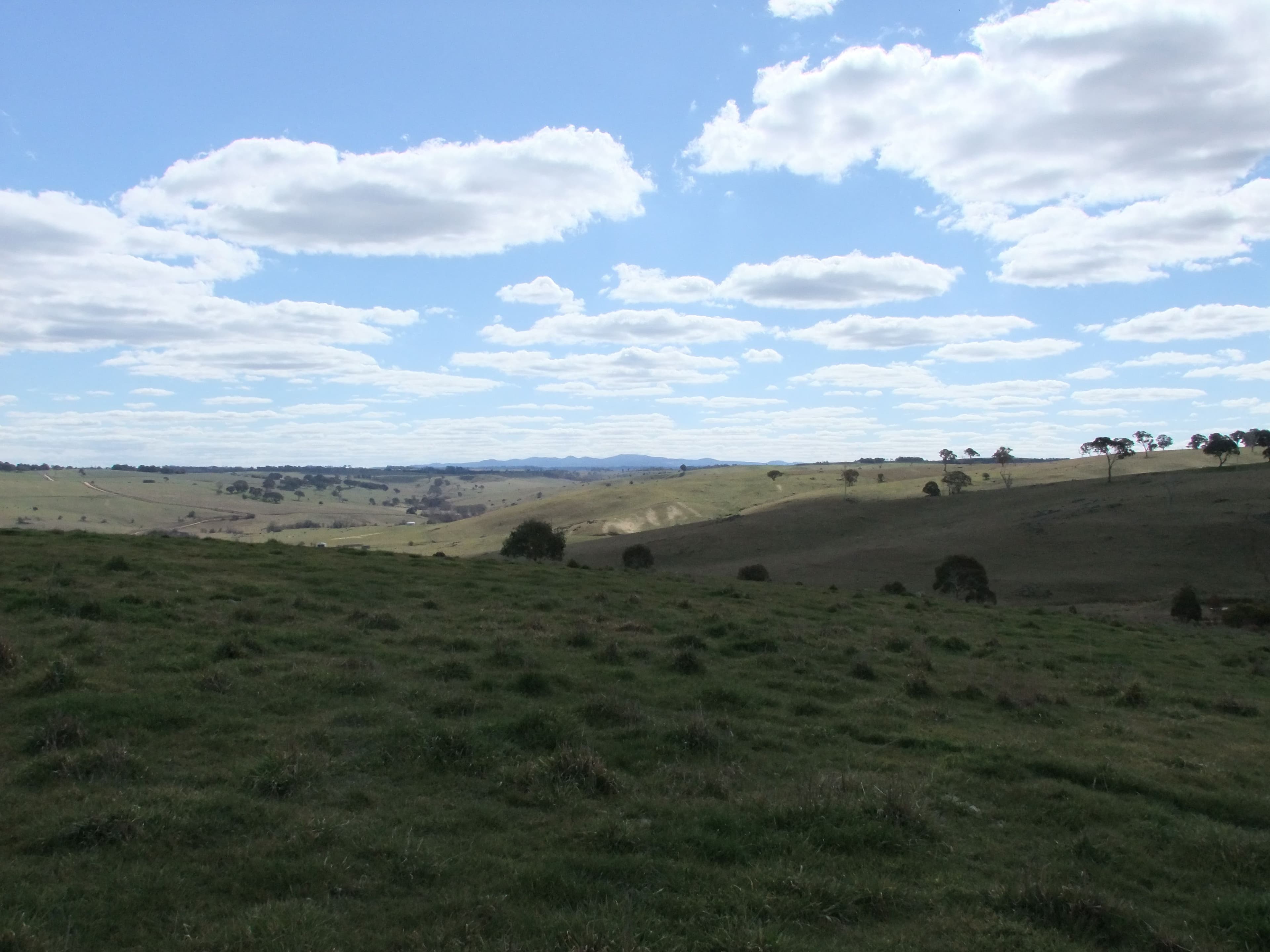 Lot 107 Browns Creek Road, Blayney NSW 2799, Blayney - Thumbnail 2
