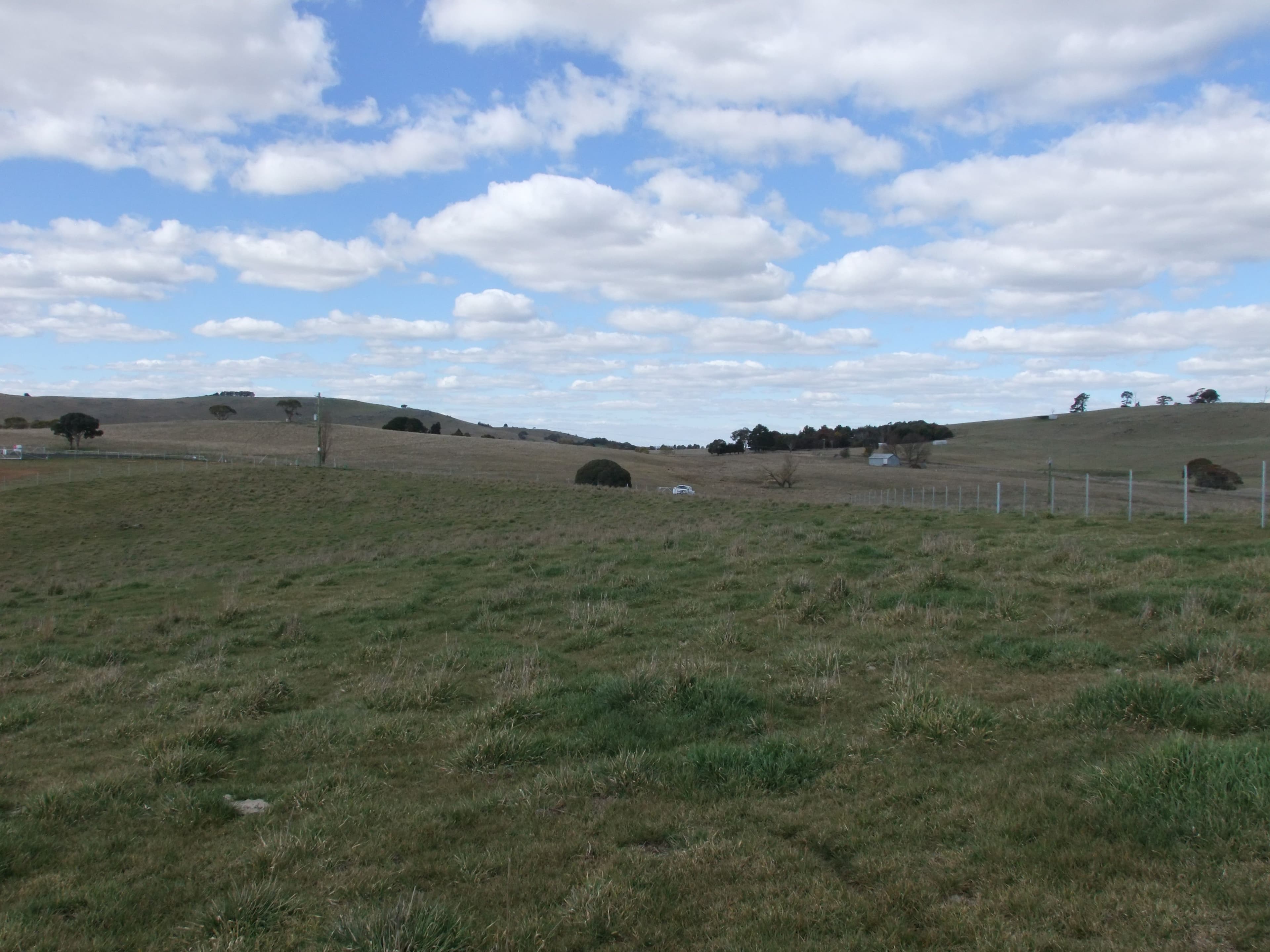 Lot 107 Browns Creek Road, Blayney NSW 2799, Blayney - Thumbnail 3