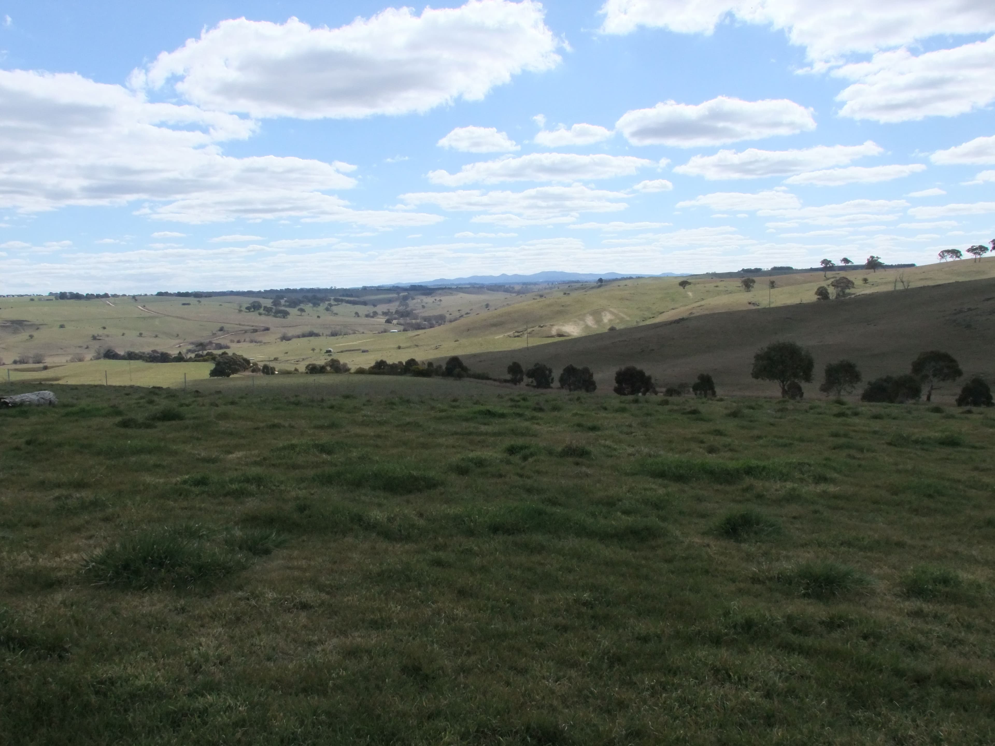 Lot 107 Browns Creek Road, Blayney NSW 2799, Blayney - Thumbnail 4