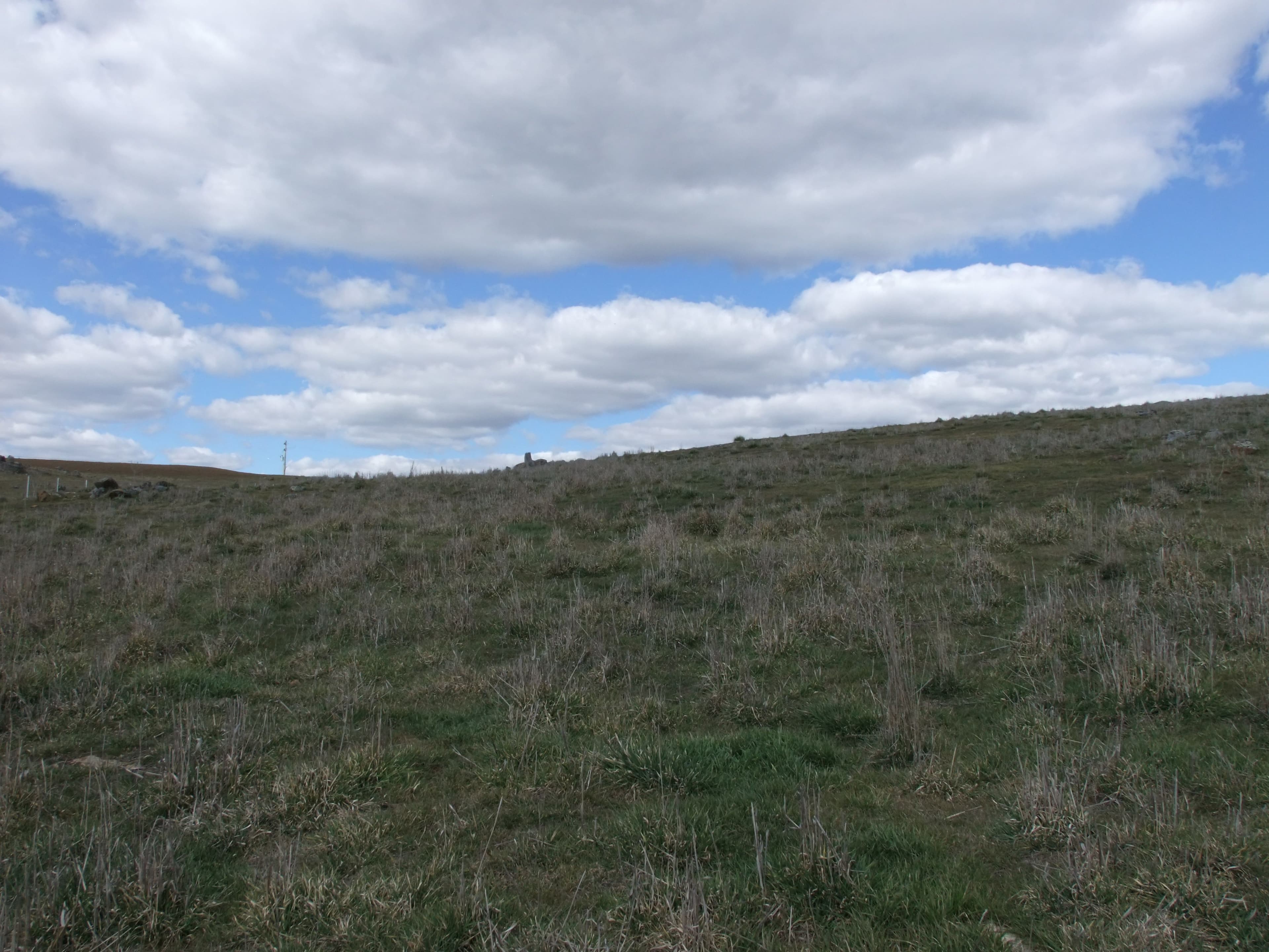 Lot 107 Browns Creek Road, Blayney NSW 2799, Blayney - Thumbnail 7