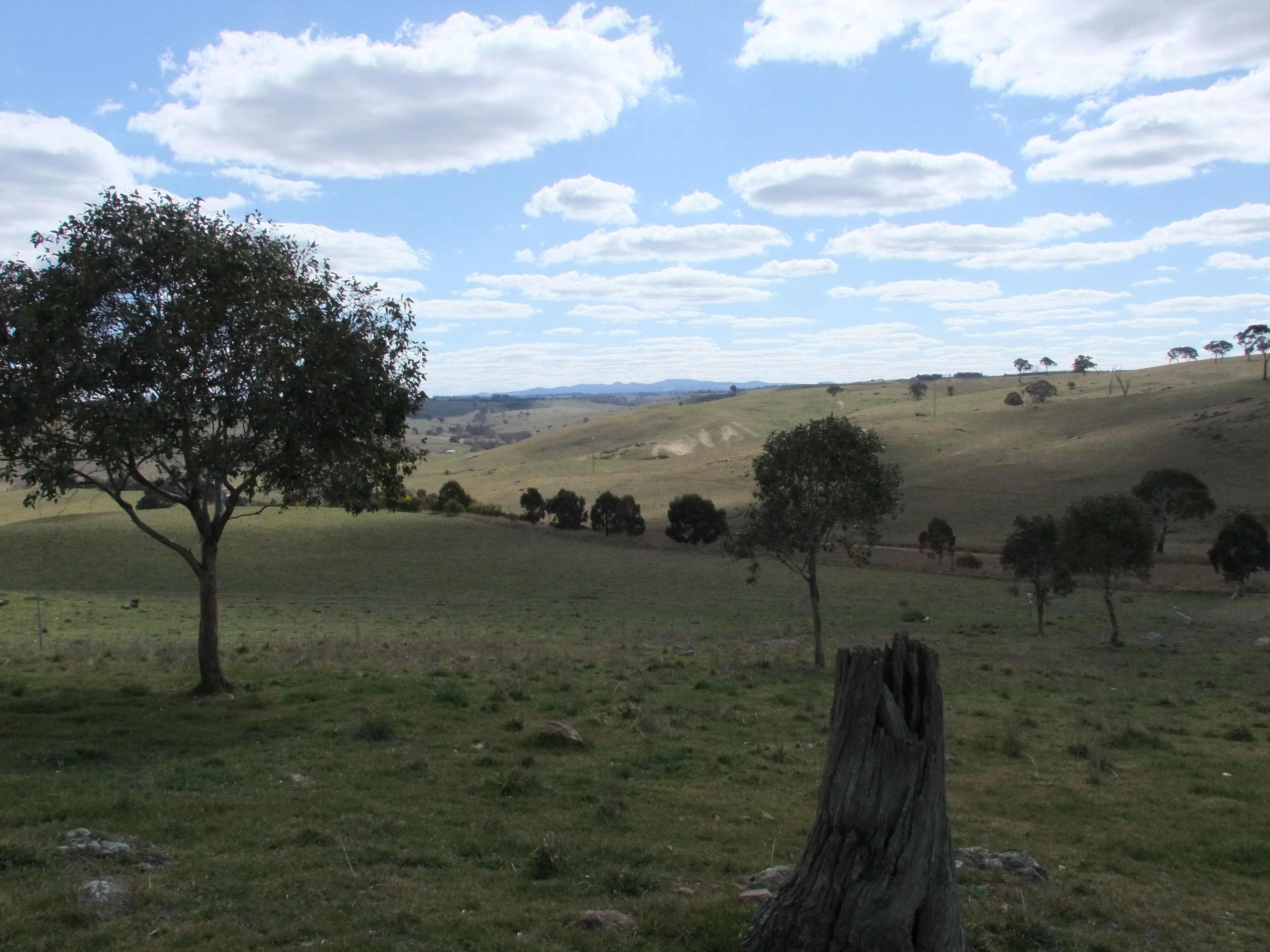 Lot 107 Browns Creek Road, Blayney NSW 2799, Blayney - Thumbnail 6