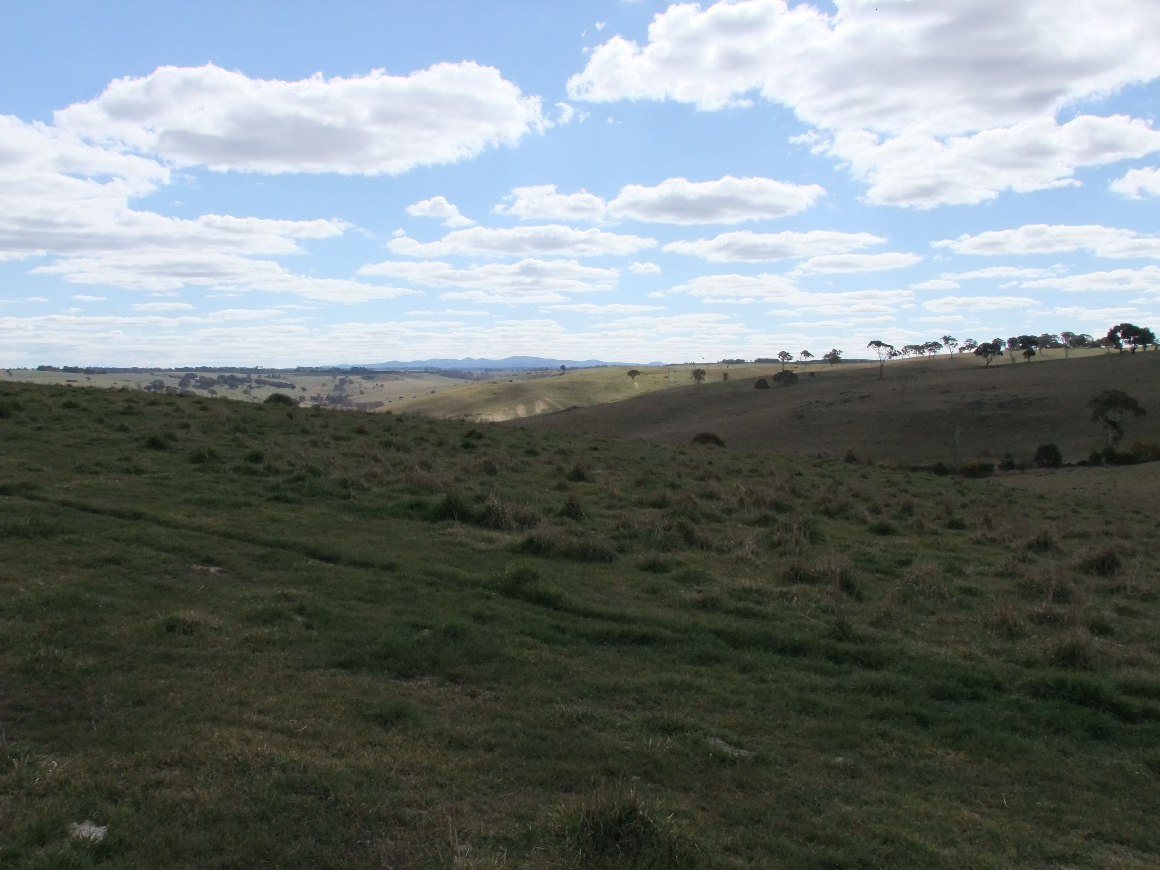 Lot 107 Browns Creek Road, Blayney NSW 2799, Blayney - Image 1