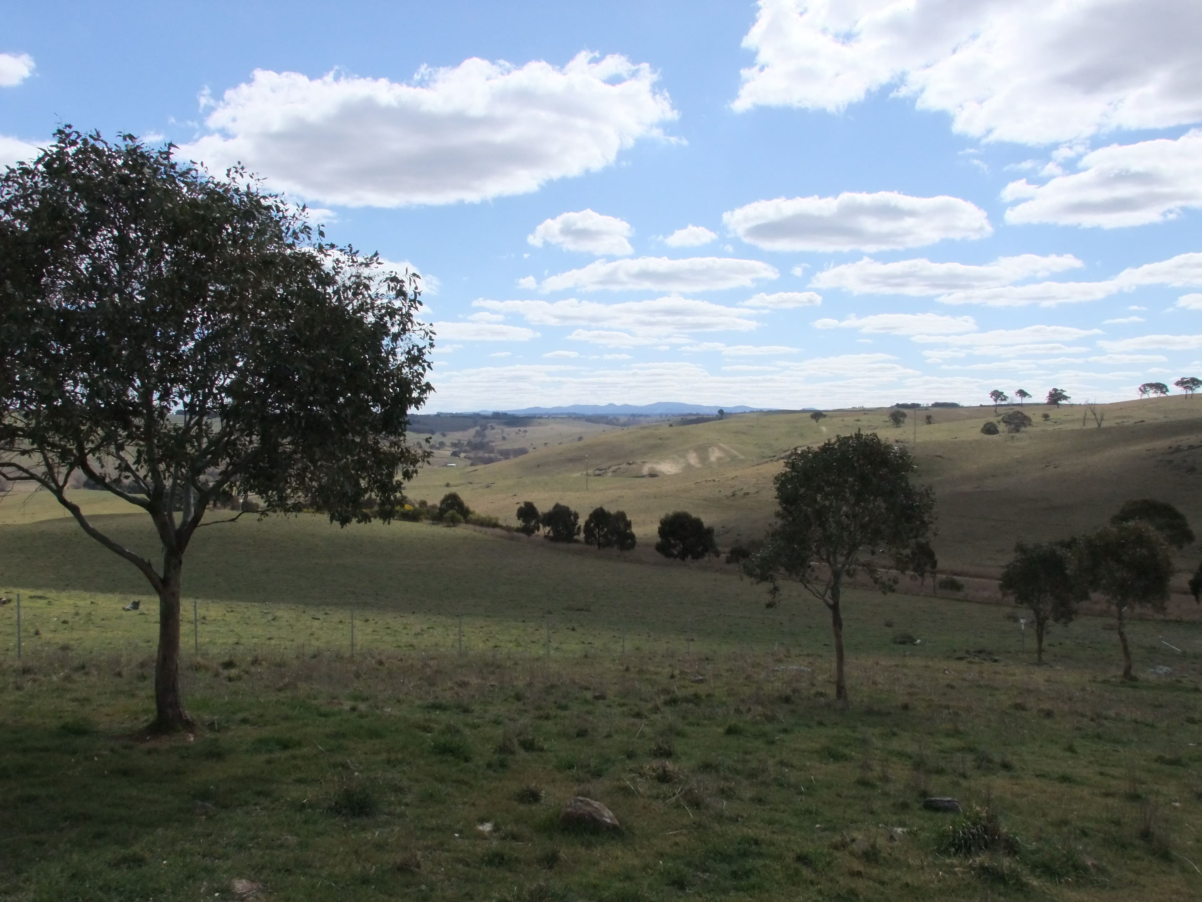 Lot 107 Browns Creek Road, Blayney NSW 2799, Blayney - Thumbnail 5
