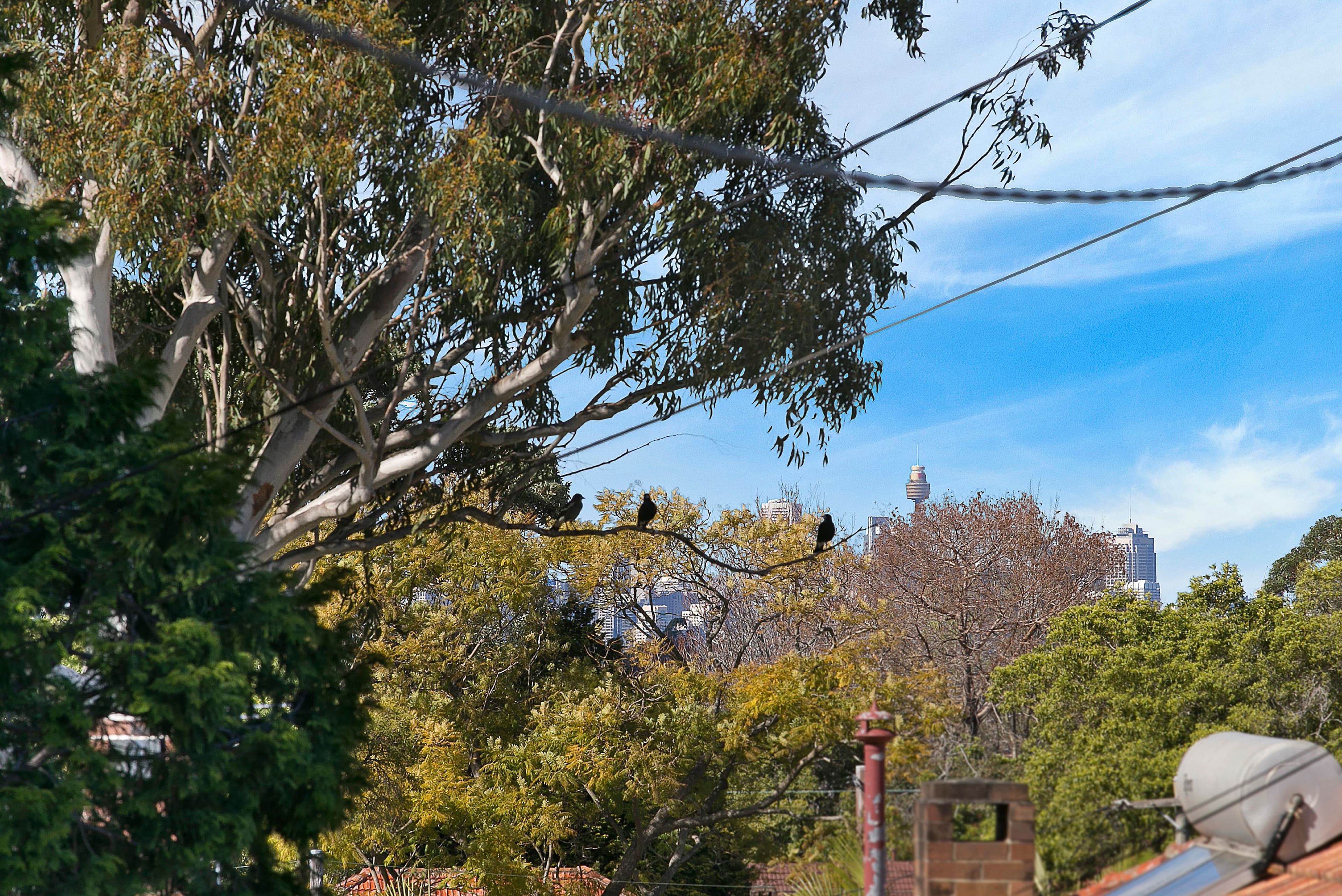 20 Kokoda Street, North Ryde - Thumbnail 3