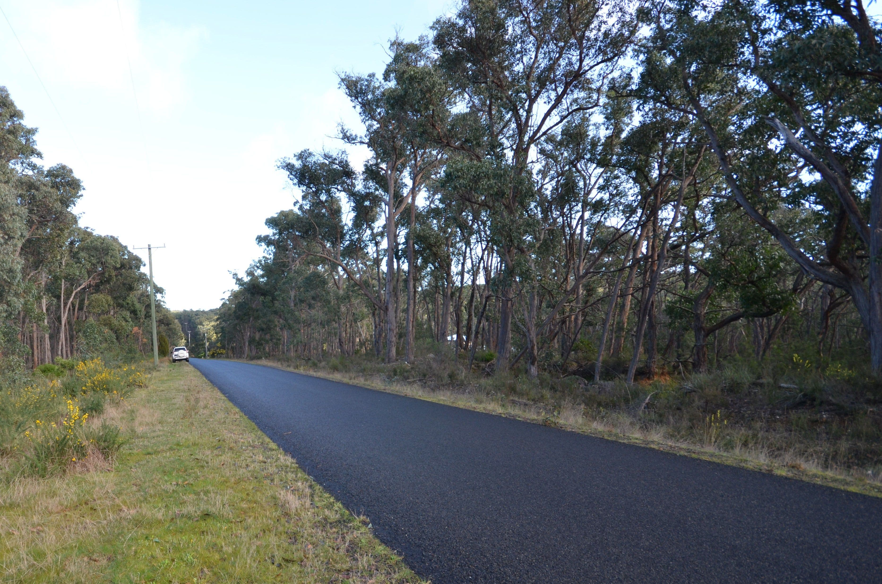 Lot 11 Woodland Drive, Scarsdale VIC 3351, Scarsdale - Thumbnail 3