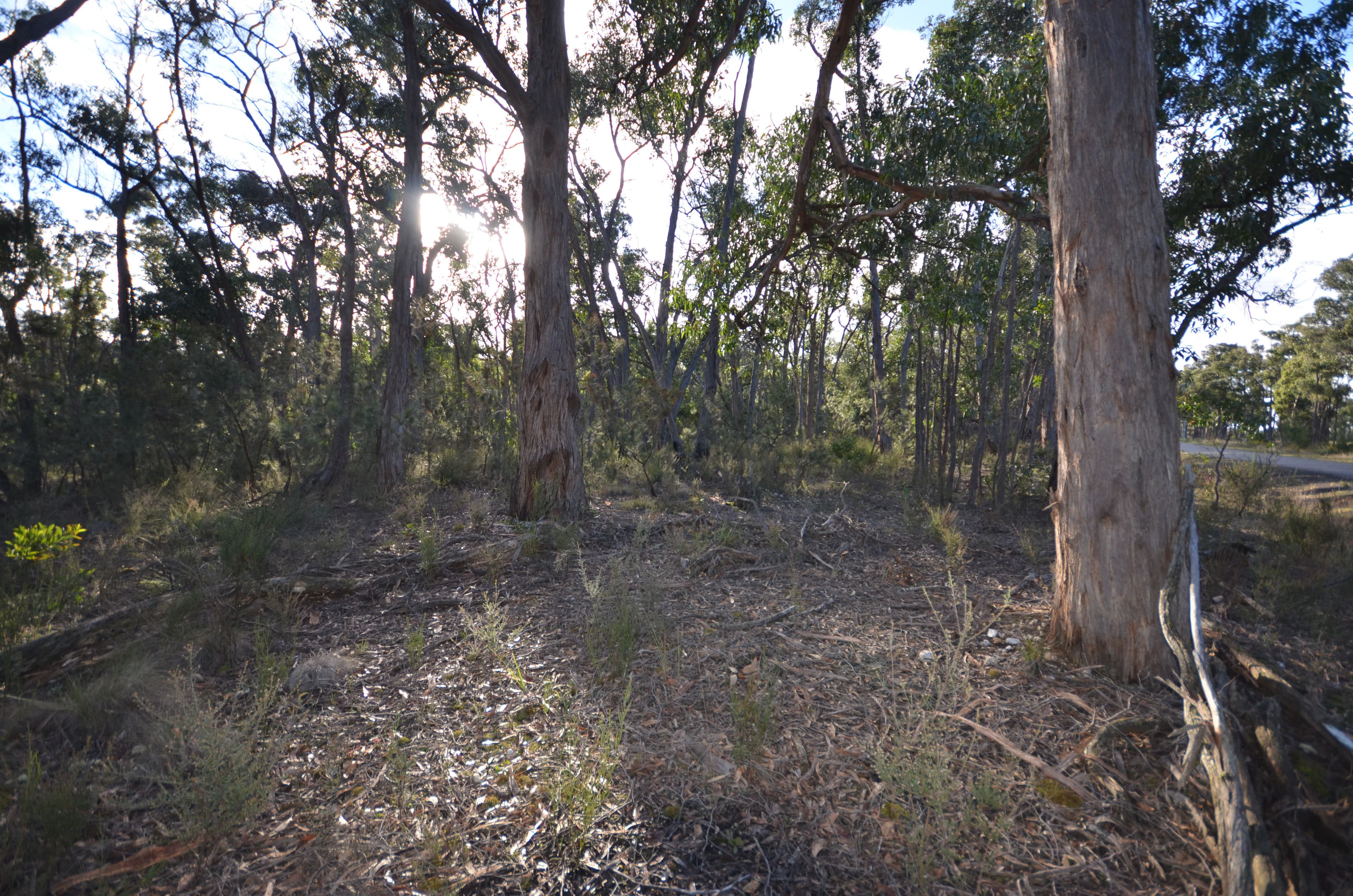 Lot 11 Woodland Drive, Scarsdale VIC 3351, Scarsdale - Thumbnail 7
