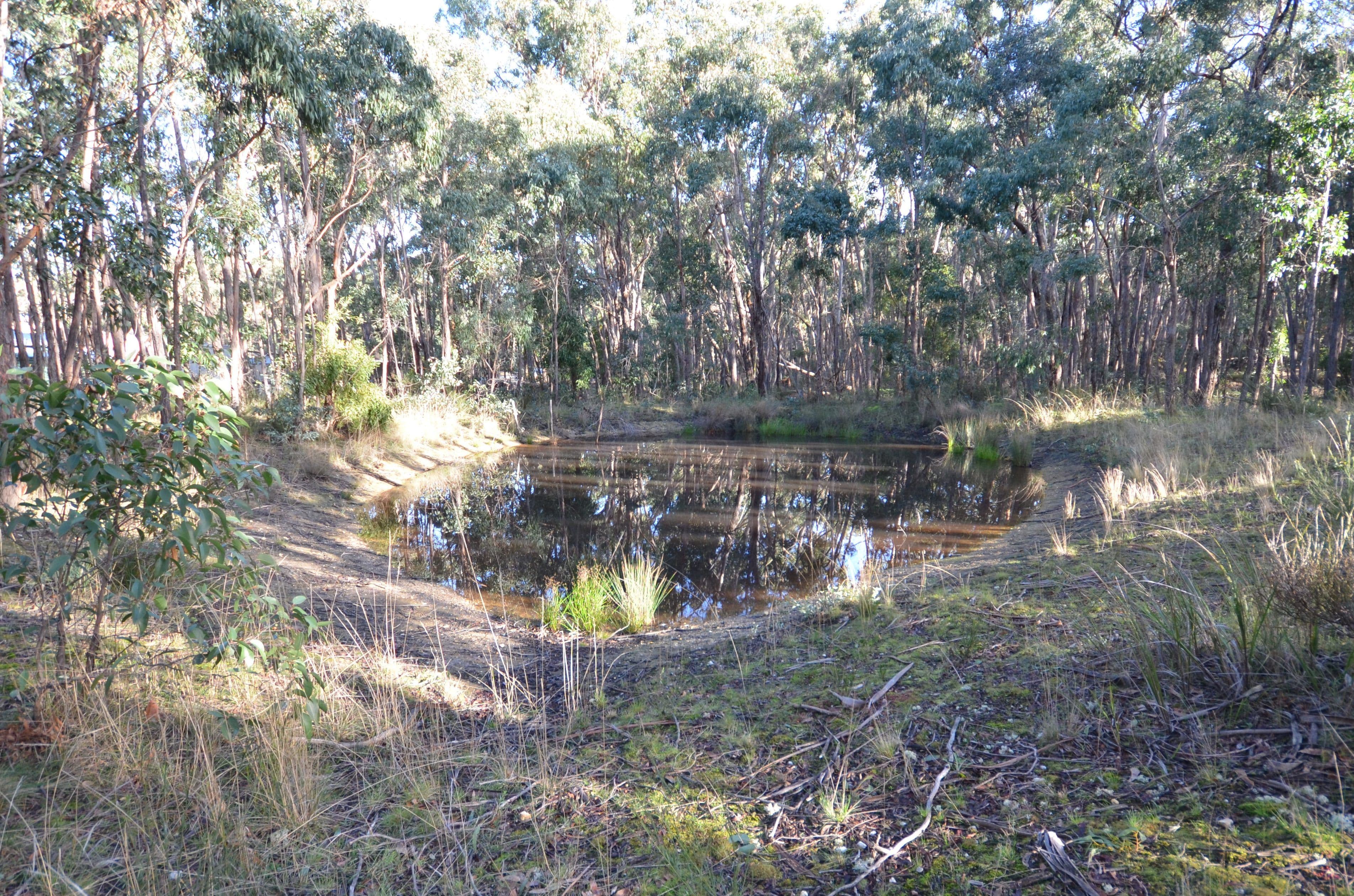 Lot 11 Woodland Drive, Scarsdale VIC 3351, Scarsdale - Image 1