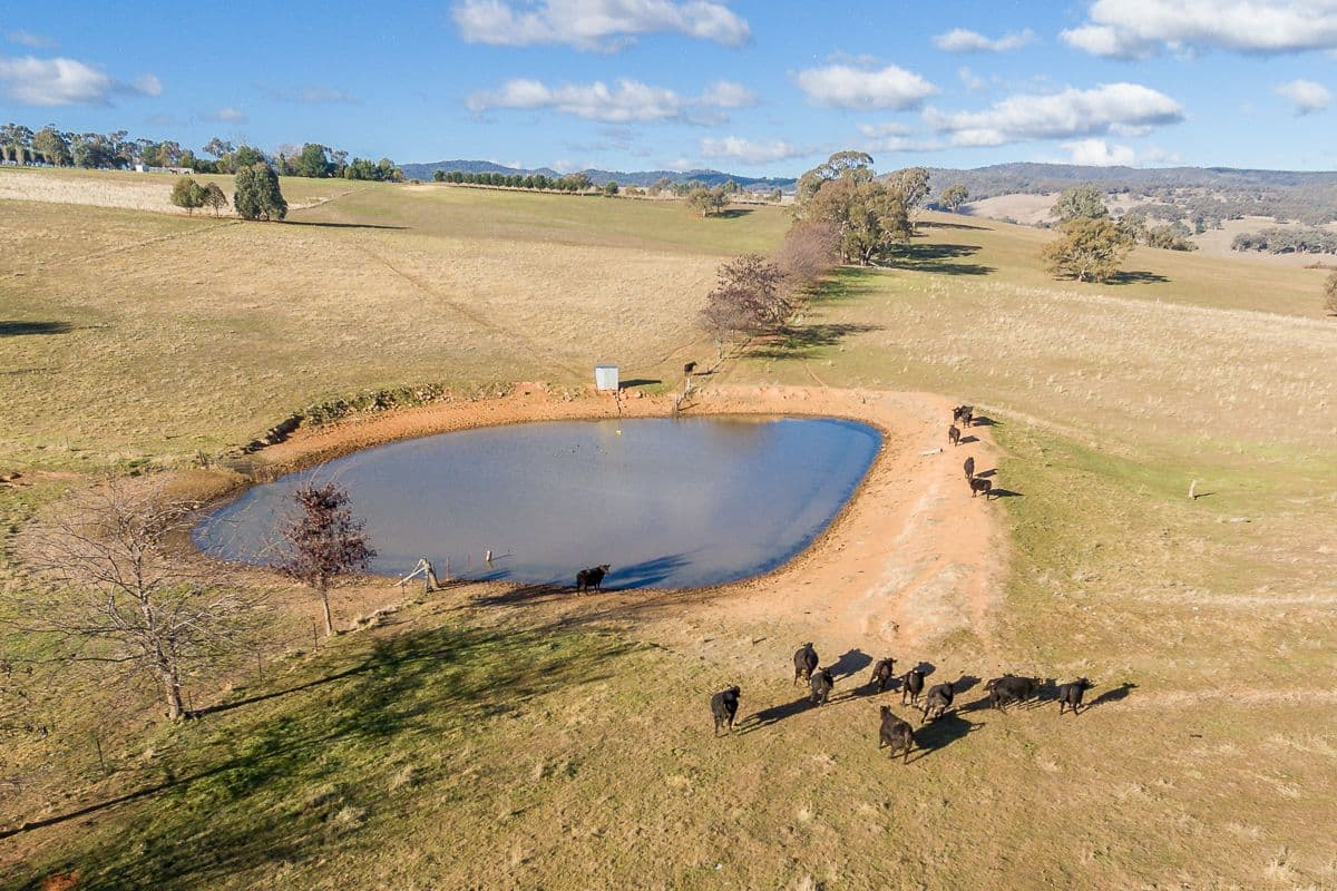 2789 Cargo Road, Orange NSW 2800, Orange - Image 1