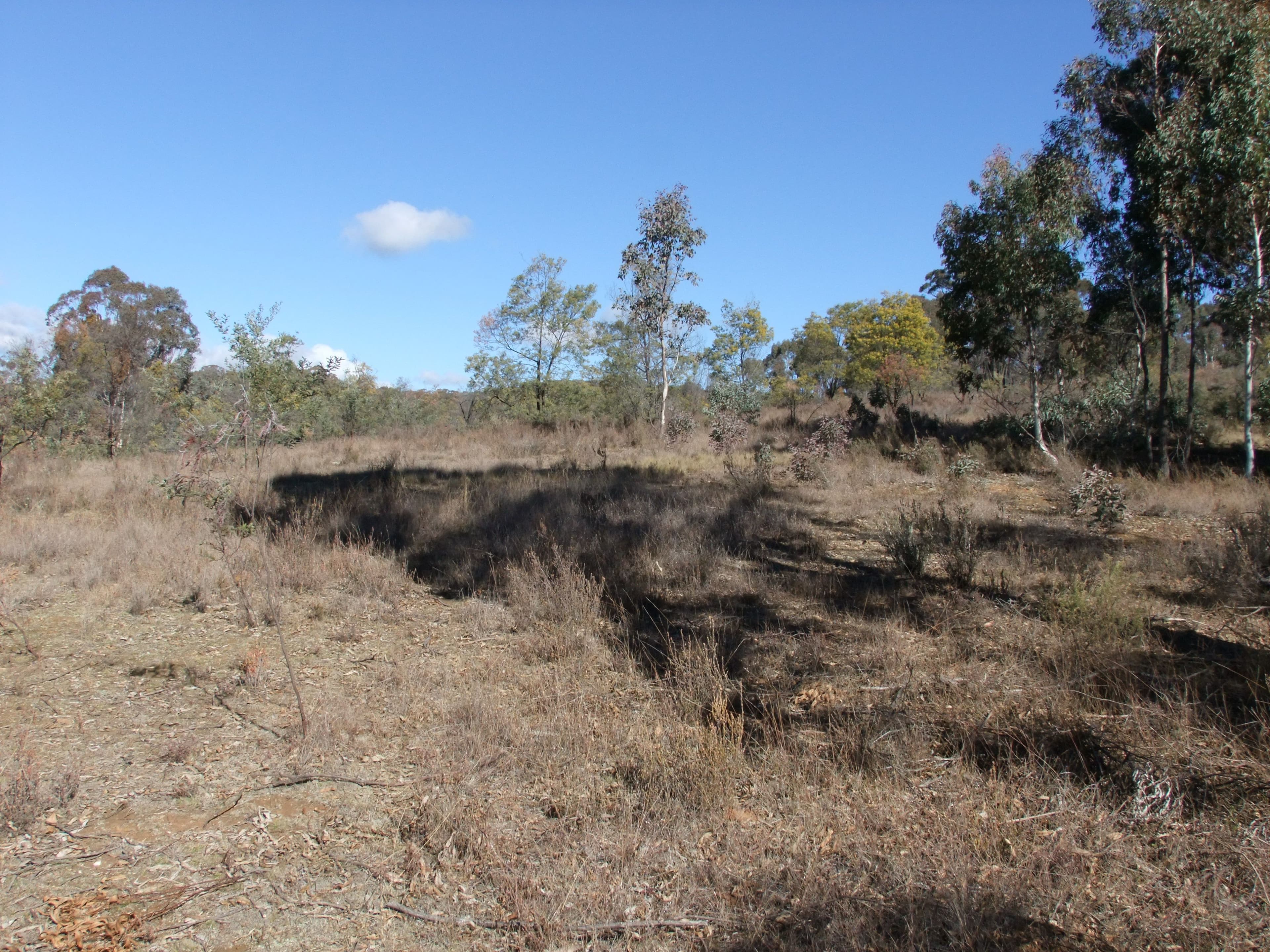 NEVILLE NSW 2799, Neville - Thumbnail 8