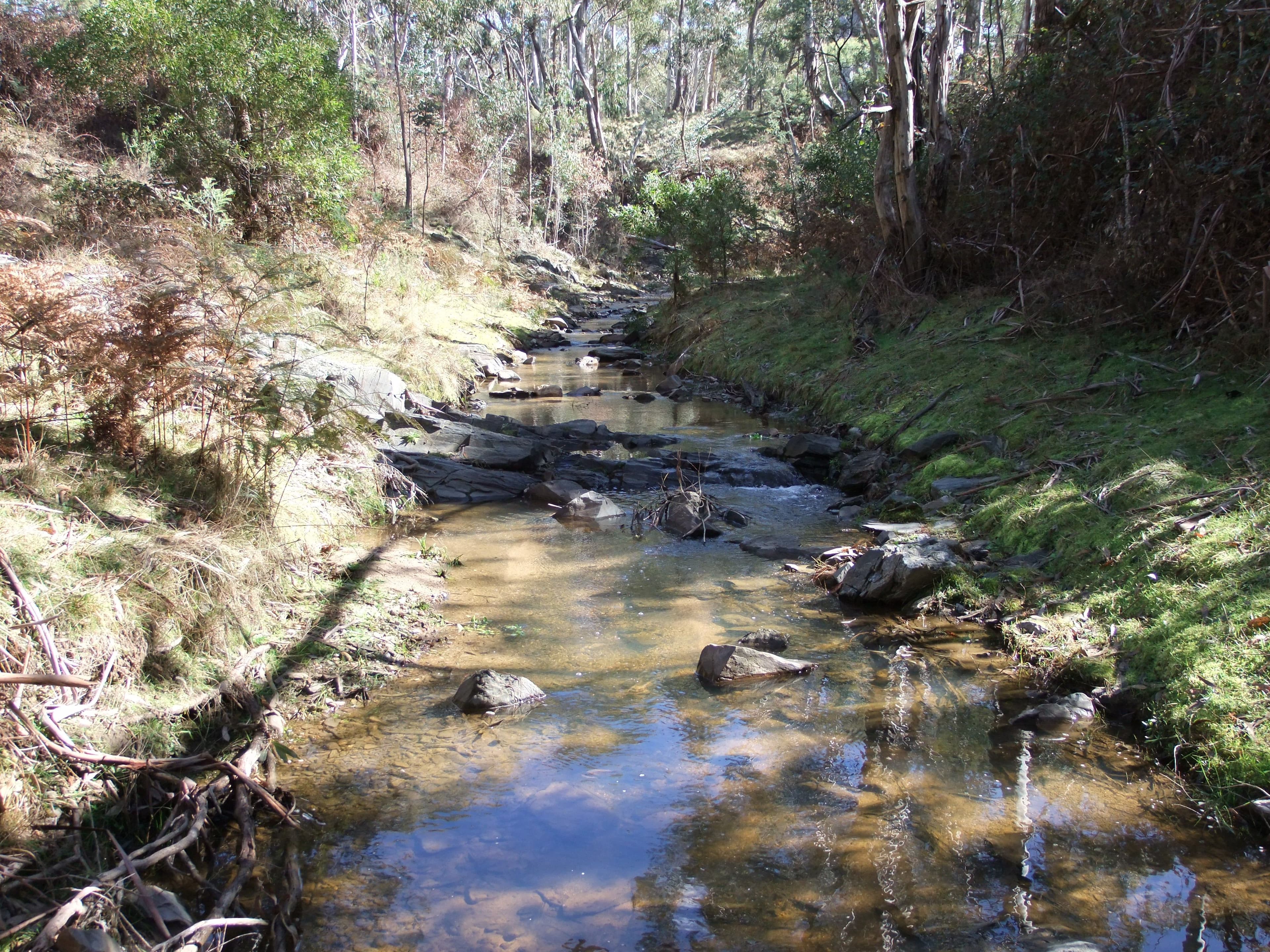 NEVILLE NSW 2799, Neville - Thumbnail 6