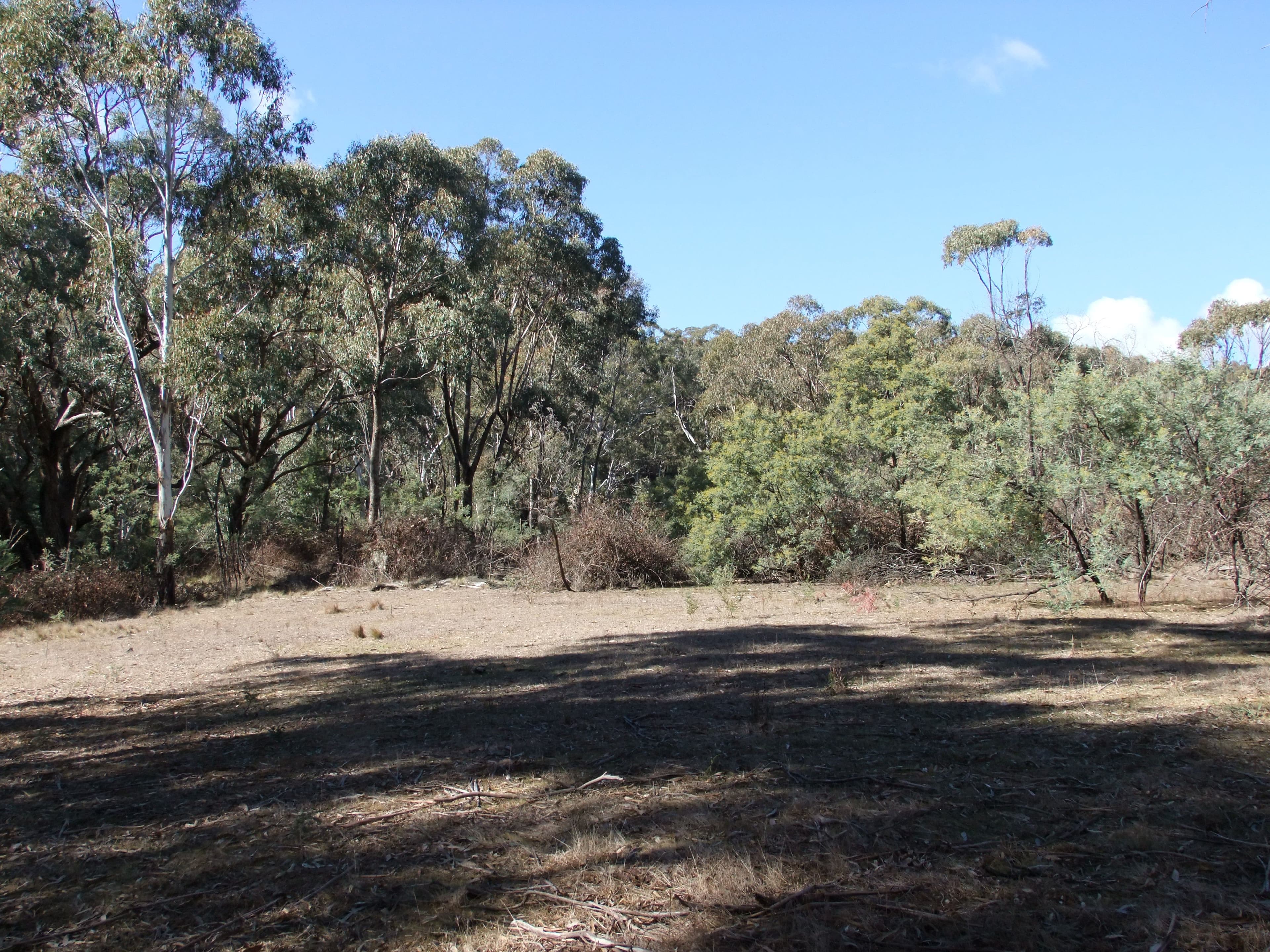 NEVILLE NSW 2799, Neville - Thumbnail 3
