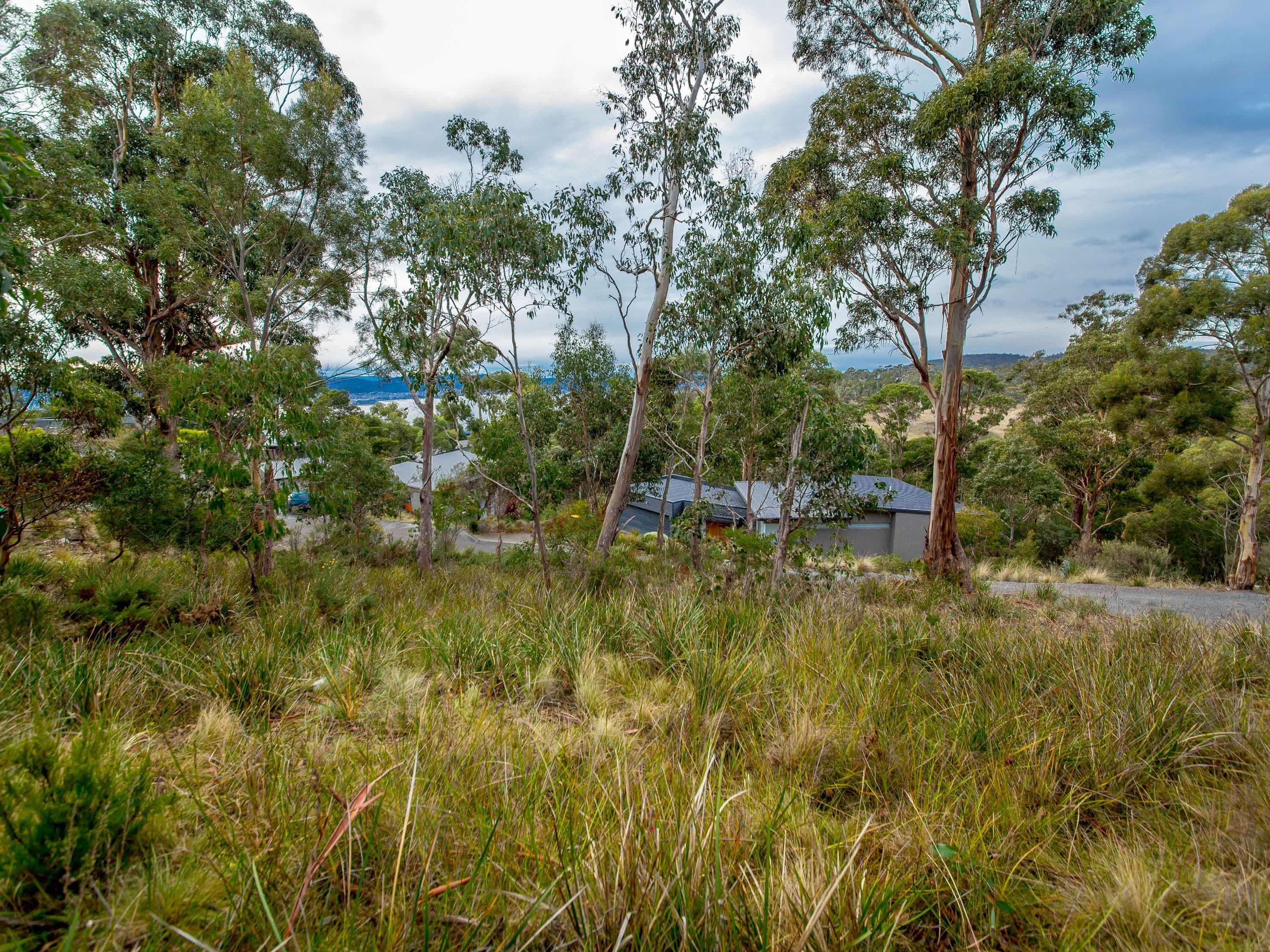 3 Correa Place, Tolmans Hill TAS 7007, Tolmans Hill - Thumbnail 3