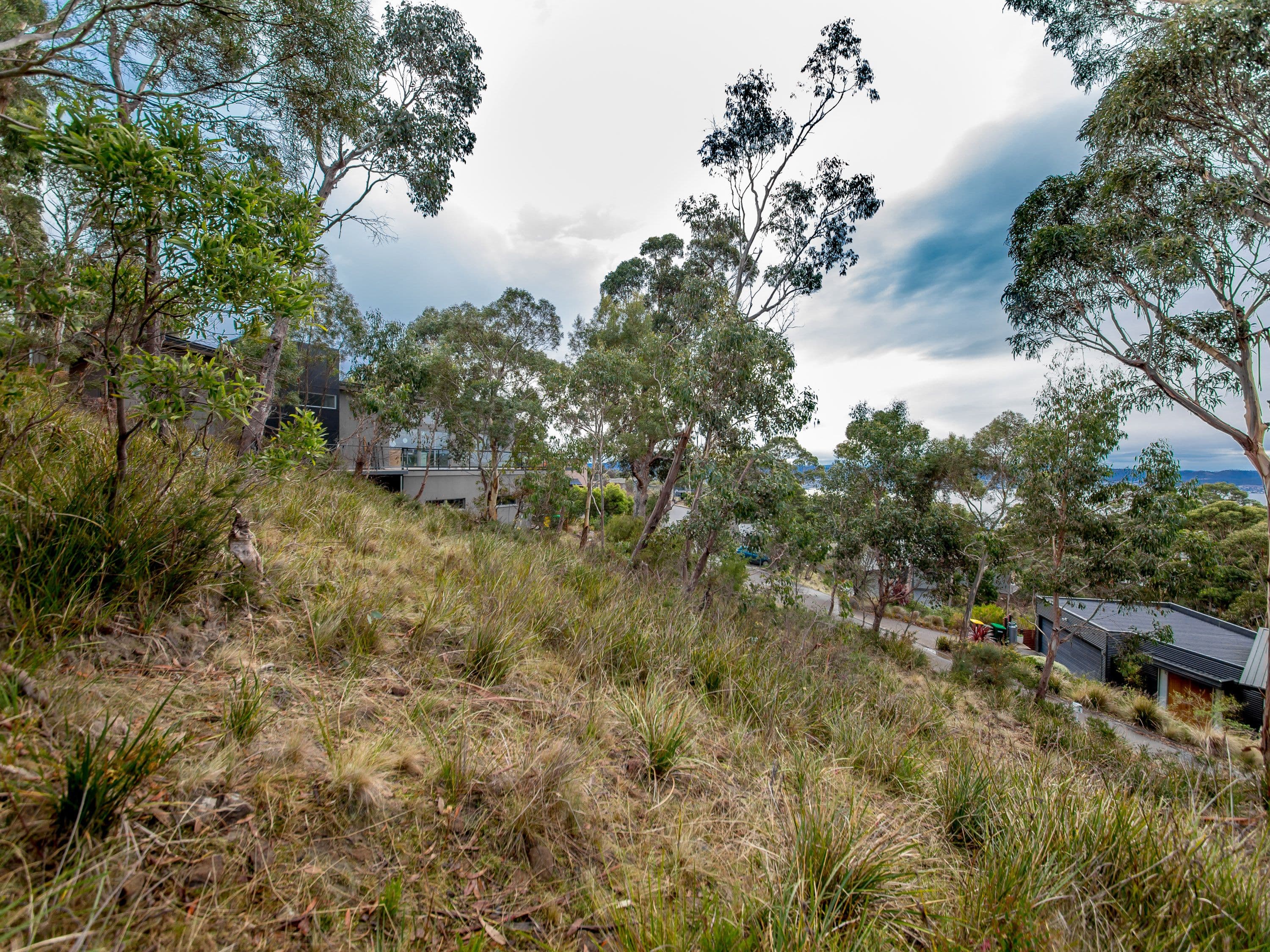 3 Correa Place, Tolmans Hill TAS 7007, Tolmans Hill - Thumbnail 4