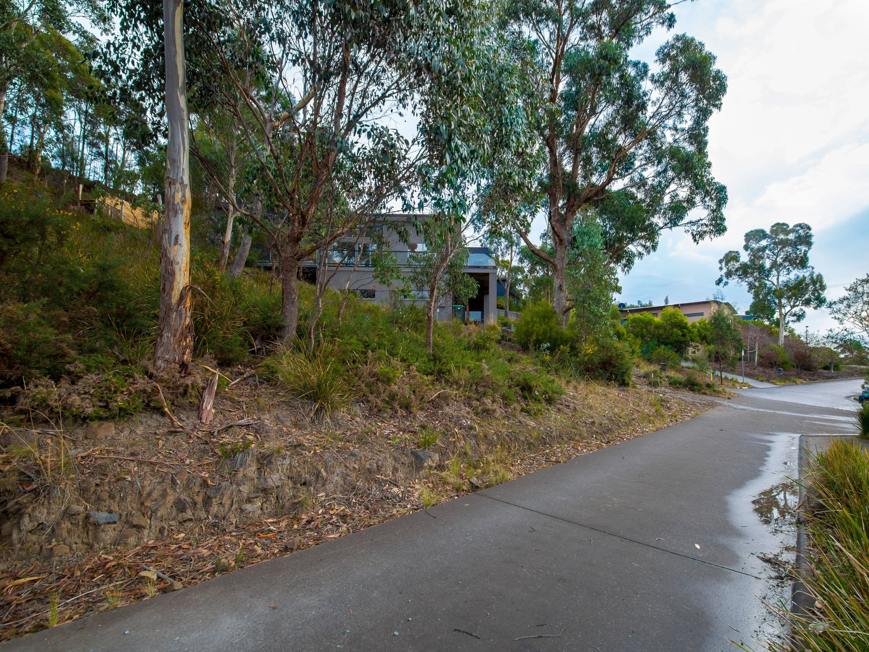 3 Correa Place, Tolmans Hill TAS 7007, Tolmans Hill - Thumbnail 5