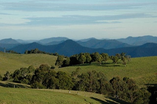 1461 Tyringham Road, Dorrigo NSW 2453, Dorrigo - Thumbnail 6