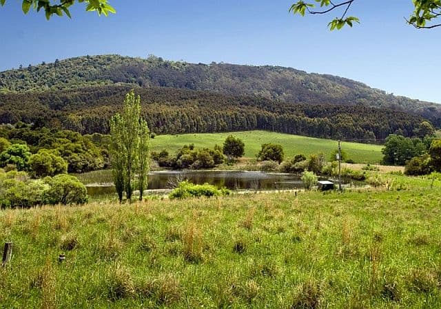 1461 Tyringham Road, Dorrigo NSW 2453, Dorrigo - Thumbnail 2