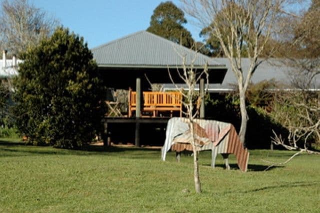 1461 Tyringham Road, Dorrigo NSW 2453, Dorrigo - Thumbnail 4