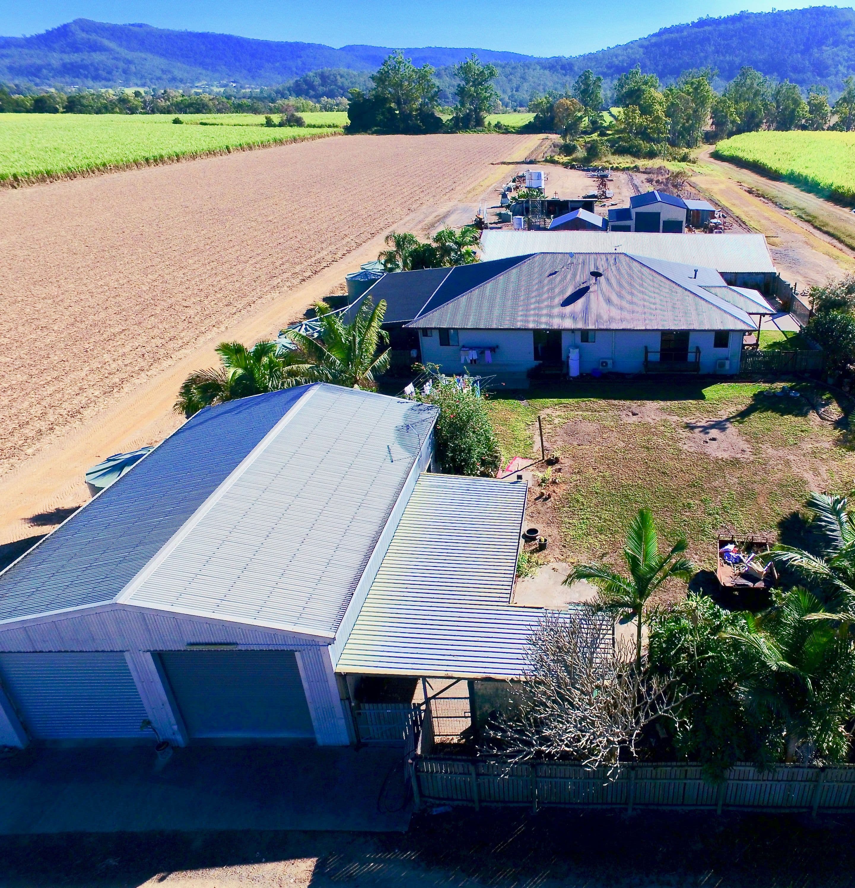 131 Walz Lane, Mirani QLD 4754, Mirani - Thumbnail 3