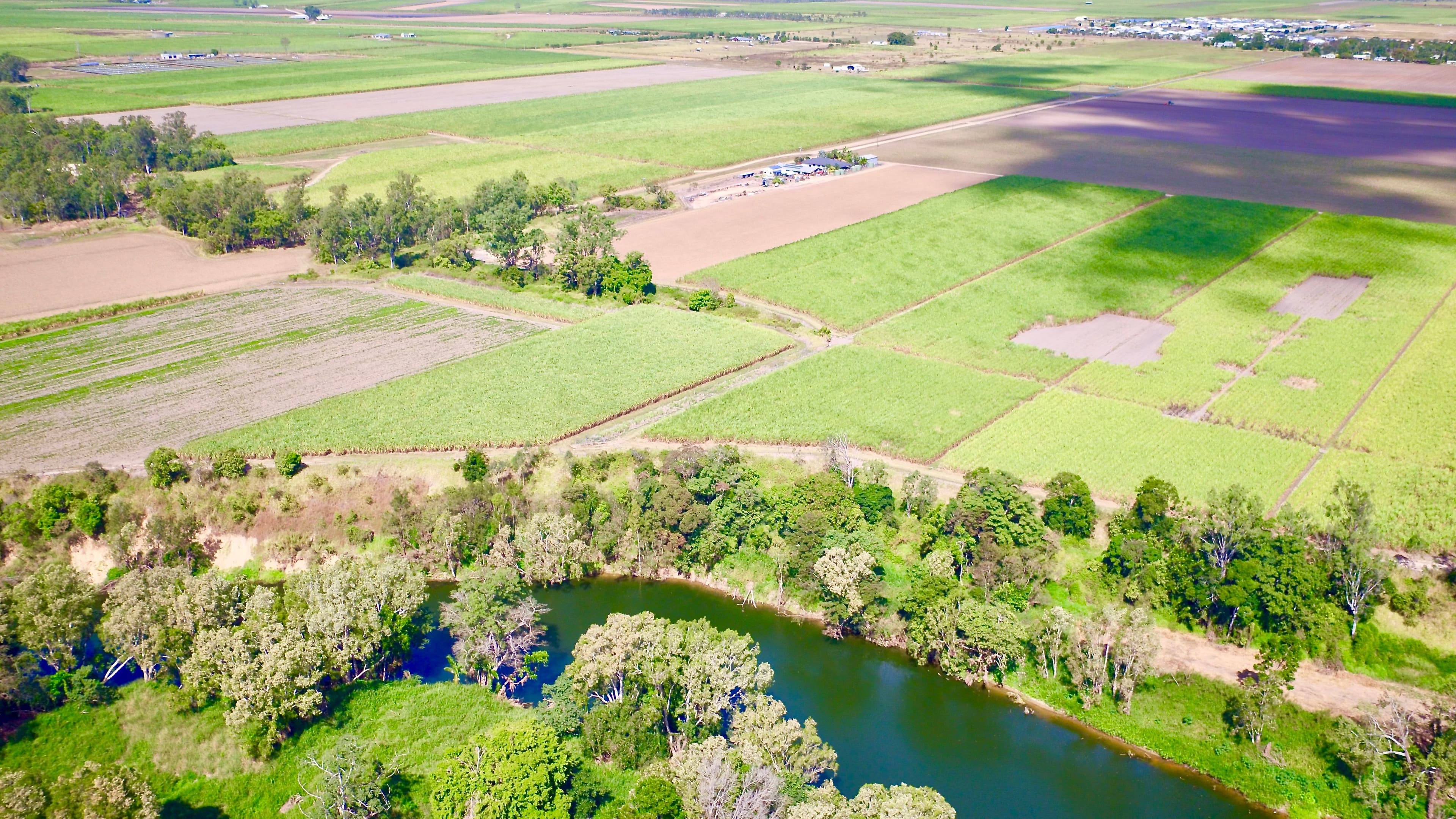 131 Walz Lane, Mirani QLD 4754, Mirani - Thumbnail 7