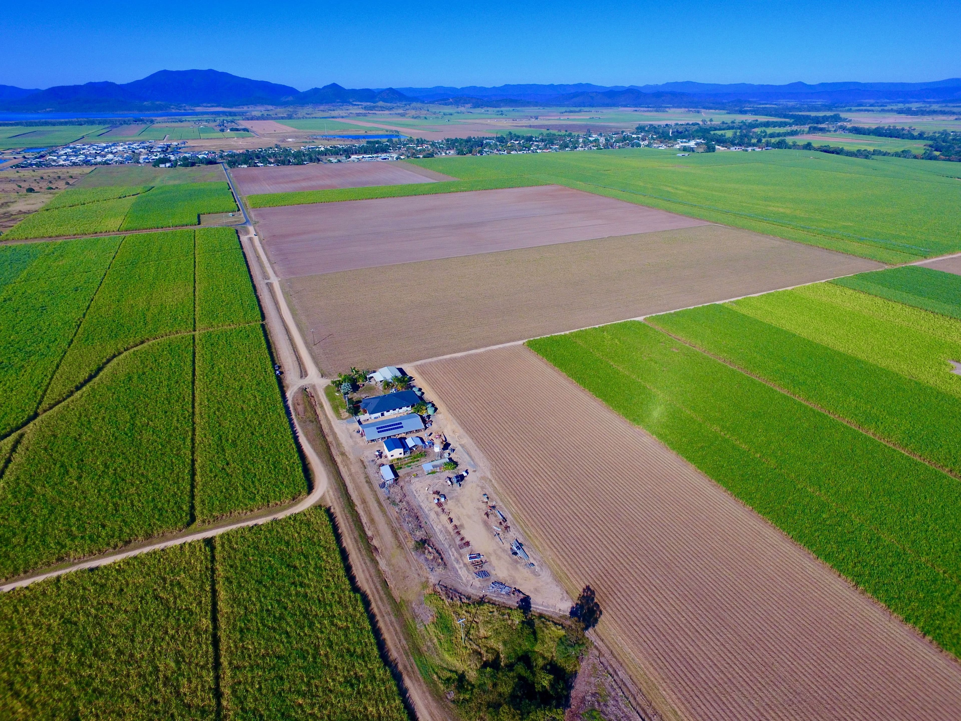 131 Walz Lane, Mirani QLD 4754, Mirani - Thumbnail 2