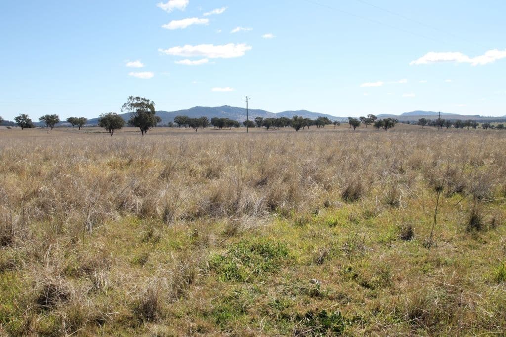 145 Bridges Road, QUIRINDI NSW 2343, Quirindi - Image 1