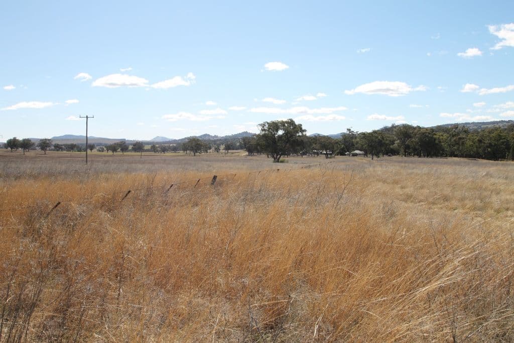 145 Bridges Road, QUIRINDI NSW 2343, Quirindi - Thumbnail 2