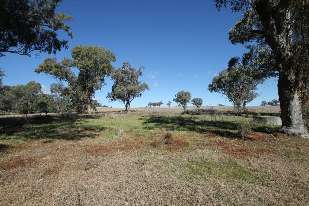 145 Bridges Road, QUIRINDI NSW 2343, Quirindi - Thumbnail 6