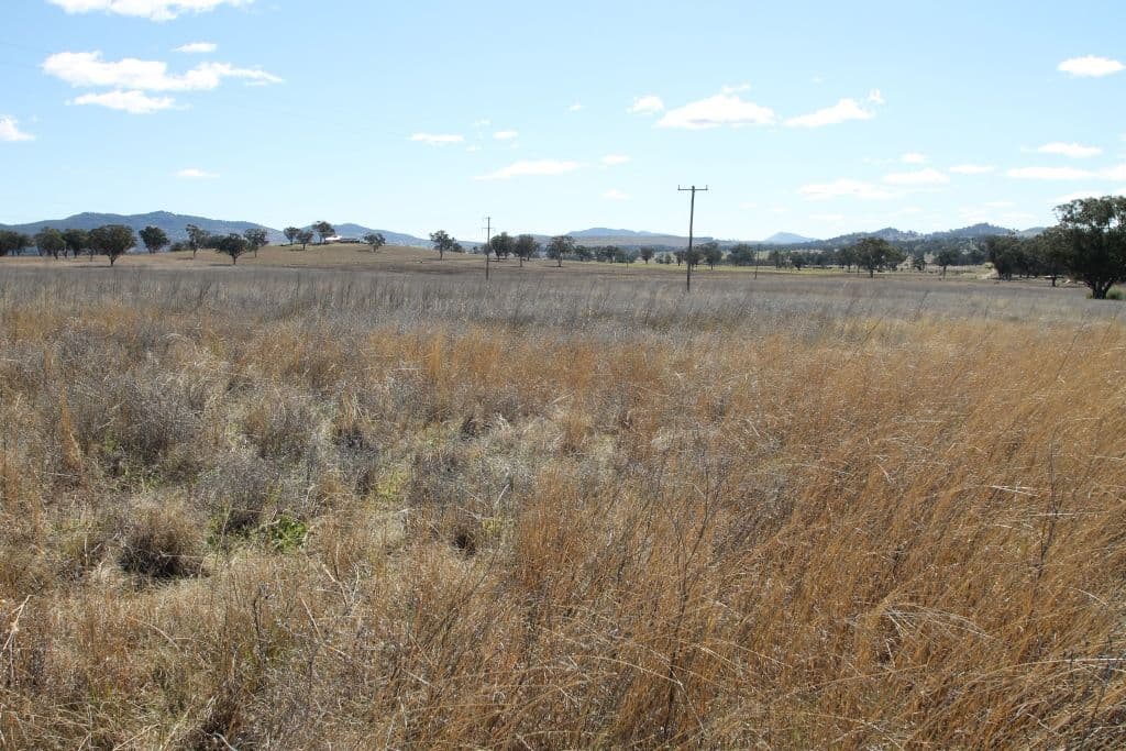 145 Bridges Road, QUIRINDI NSW 2343, Quirindi - Thumbnail 3