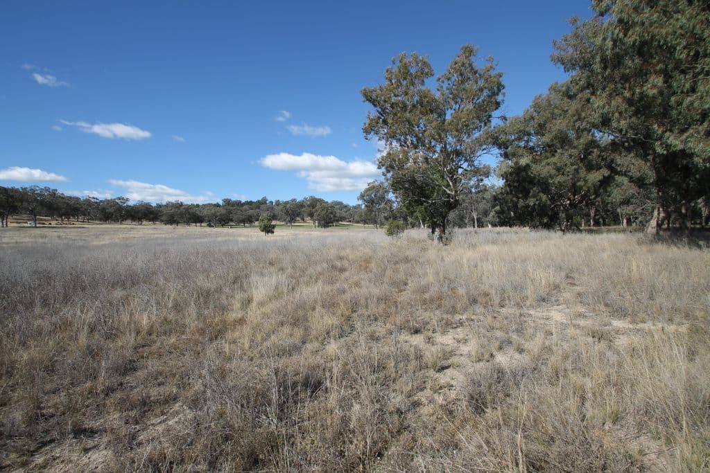 145 Bridges Road, QUIRINDI NSW 2343, Quirindi - Thumbnail 8