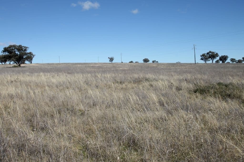 145 Bridges Road, QUIRINDI NSW 2343, Quirindi - Thumbnail 5