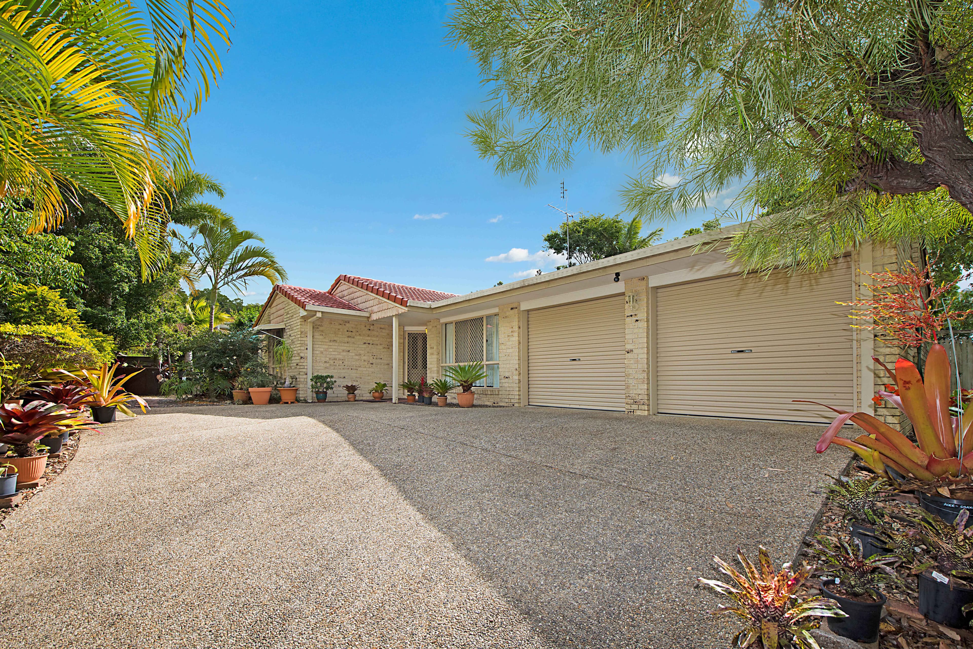 16 Hoop Pine Court, Buderim QLD 4556, Buderim - Thumbnail 2