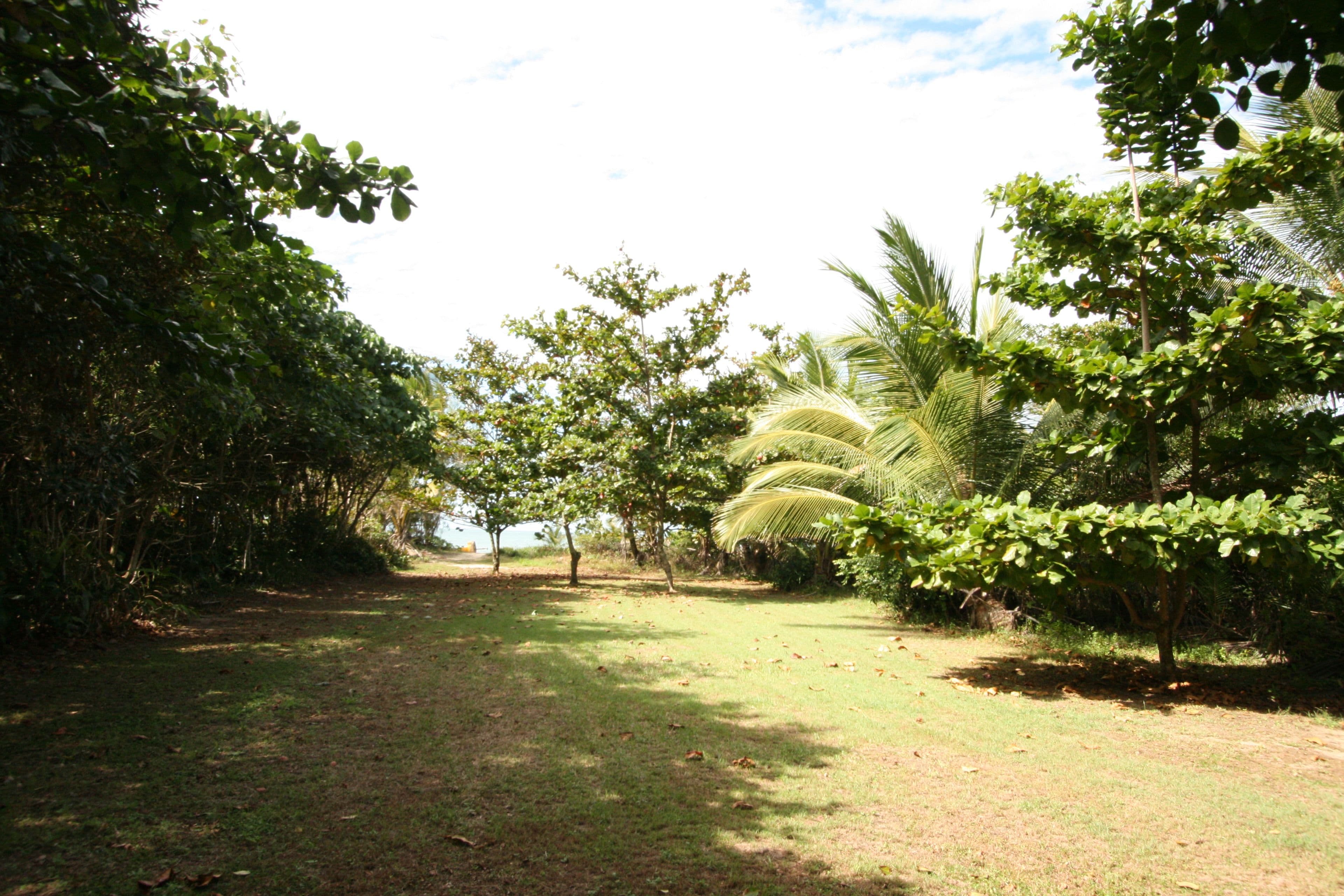 19 Inarlinga  Road, Cowley Beach QLD 4871, Cowley Beach - Thumbnail 3