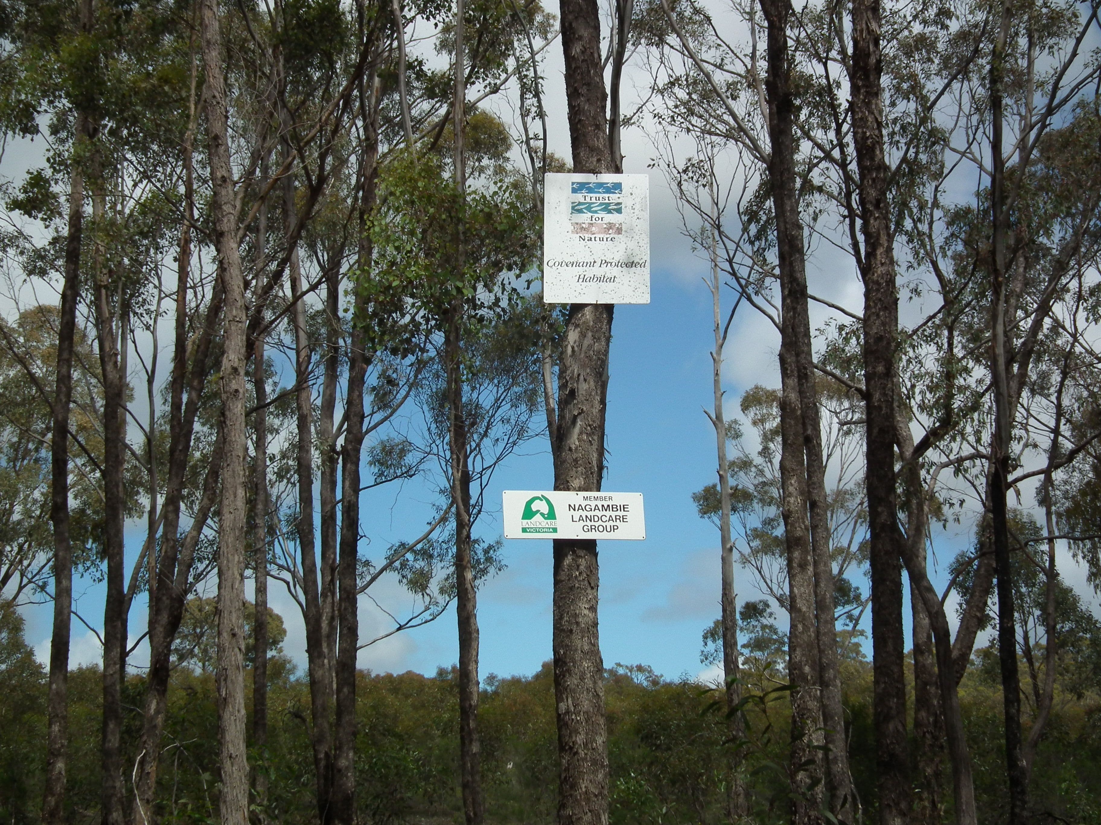 175 Pontings Lane, Bailieston VIC 3608, Bailieston - Thumbnail 3
