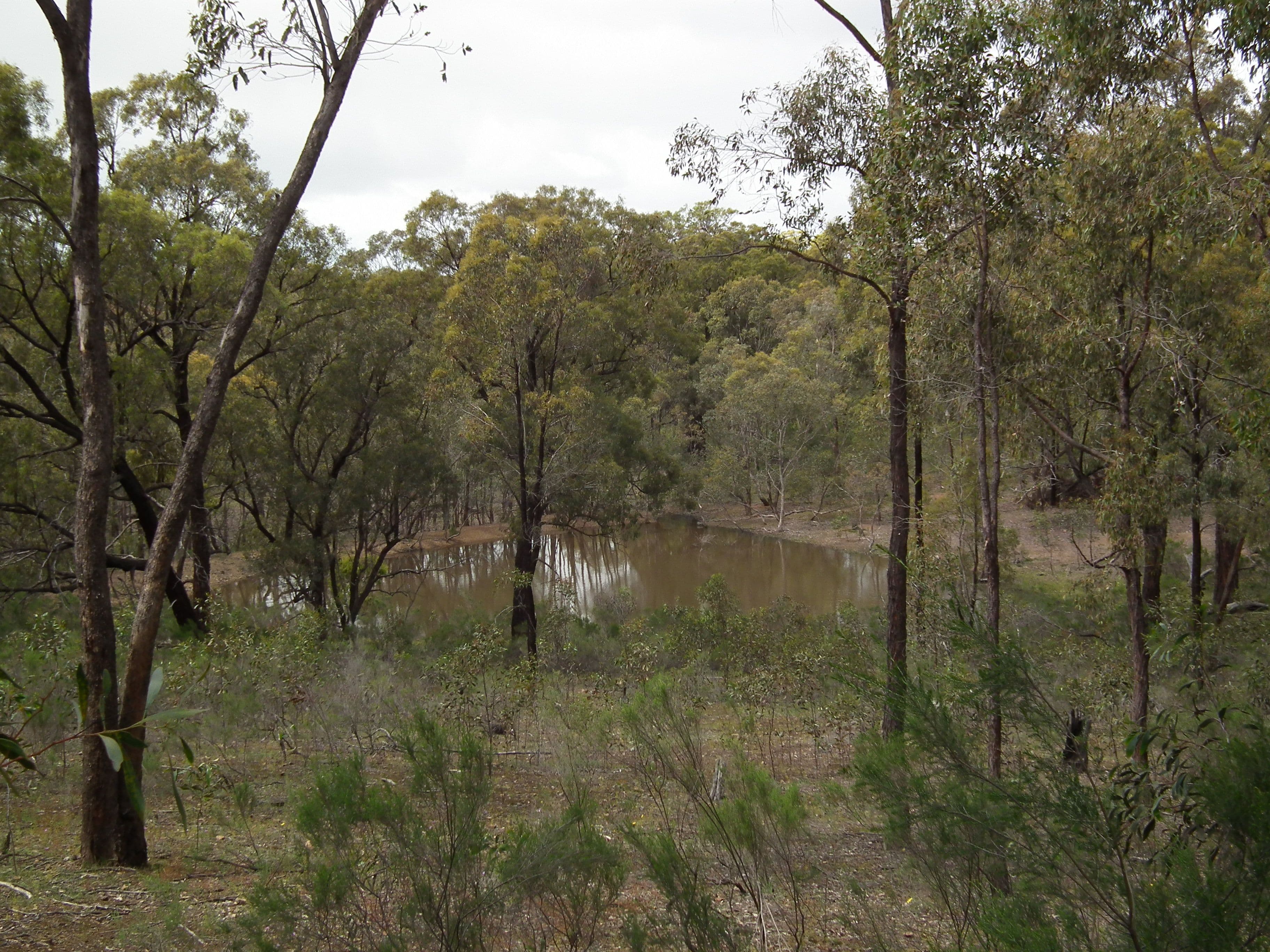175 Pontings Lane, Bailieston VIC 3608, Bailieston - Thumbnail 6