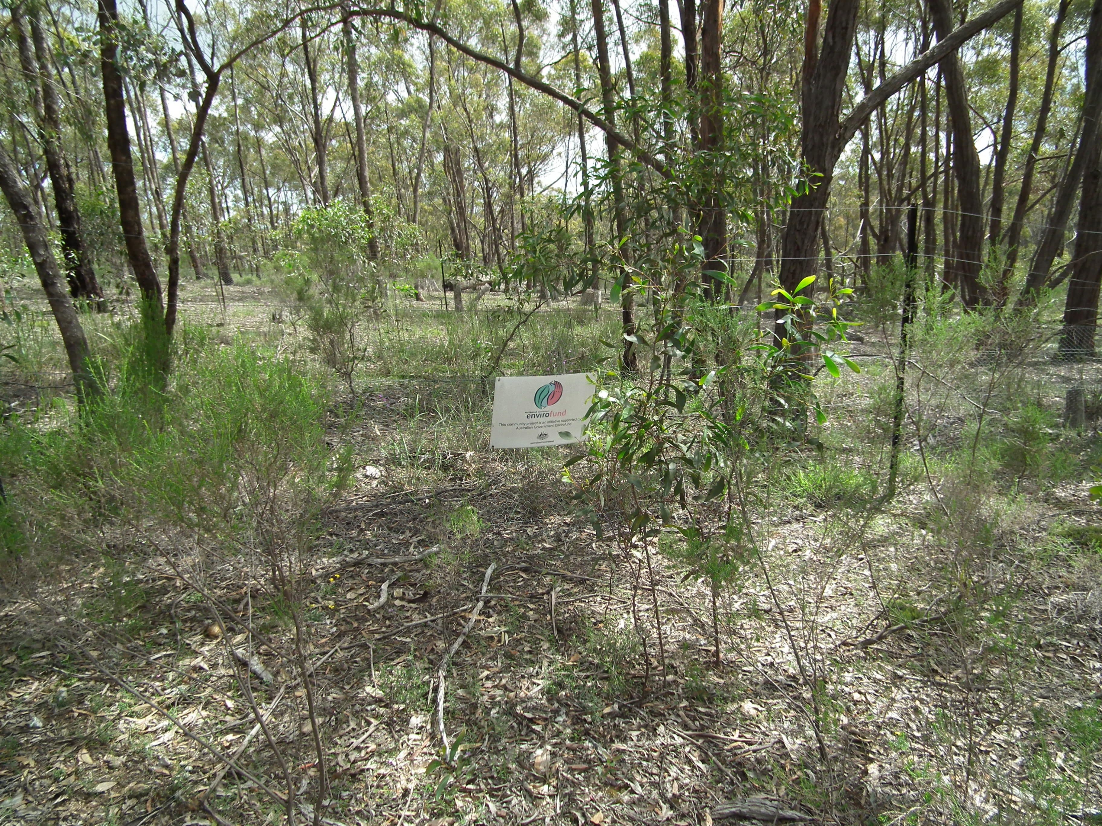 175 Pontings Lane, Bailieston VIC 3608, Bailieston - Thumbnail 4