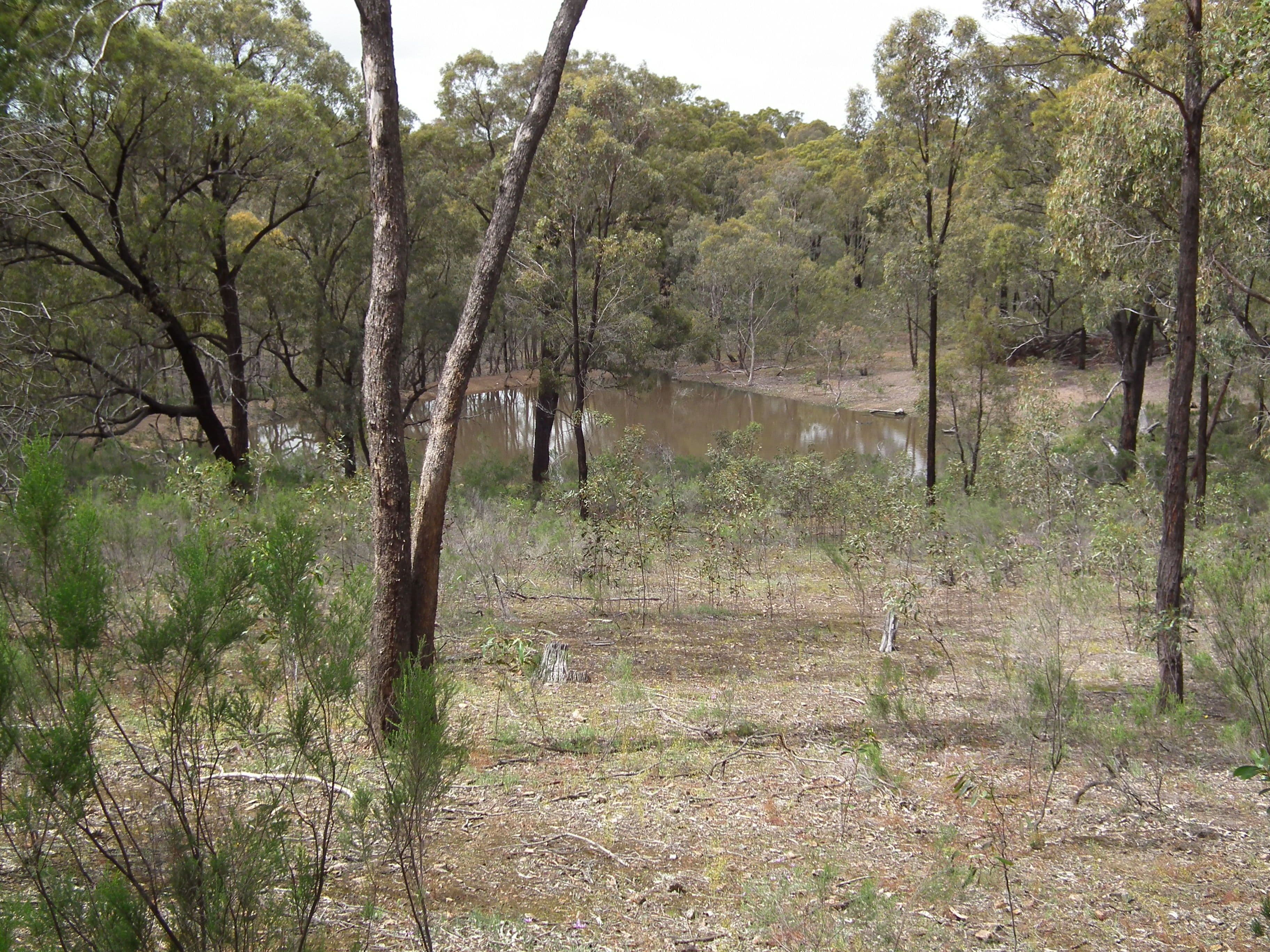 175 Pontings Lane, Bailieston VIC 3608, Bailieston - Thumbnail 5