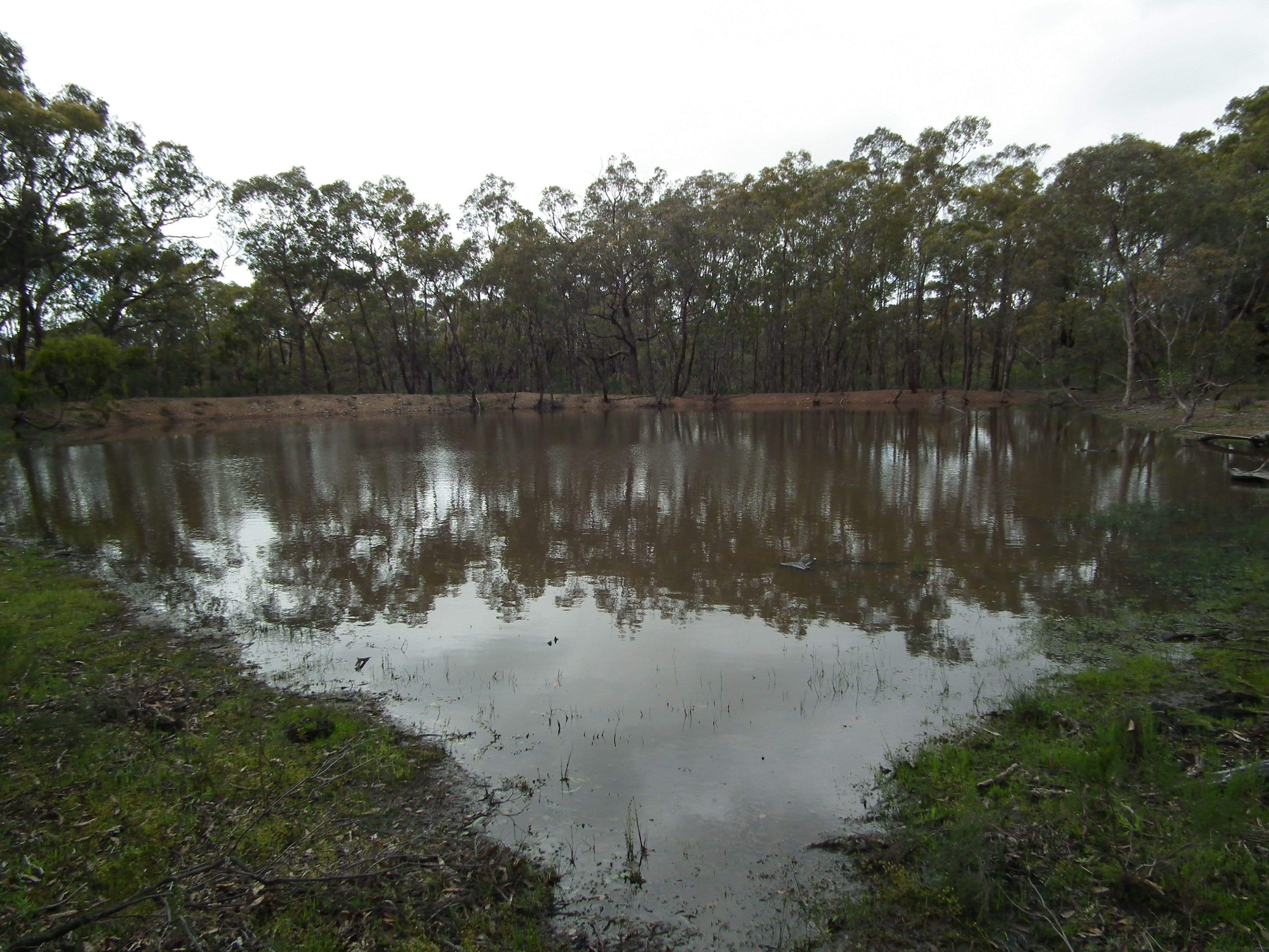 175 Pontings Lane, Bailieston VIC 3608, Bailieston - Thumbnail 7