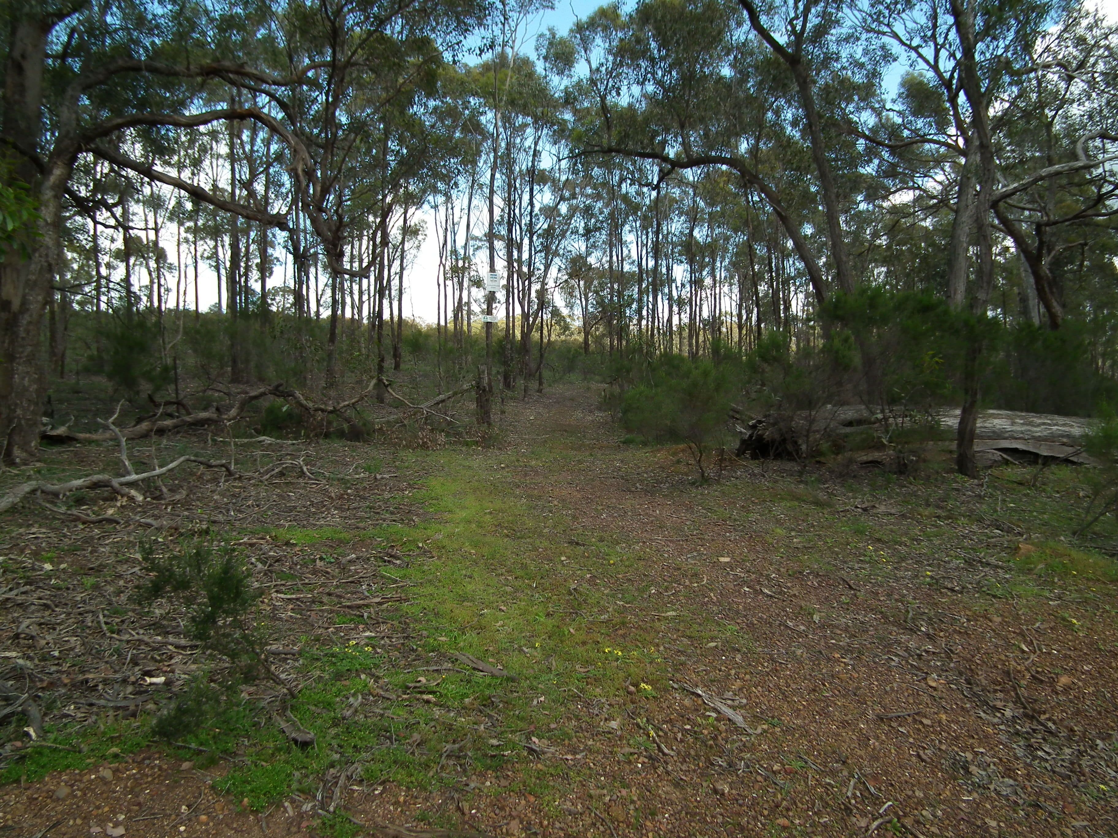 175 Pontings Lane, Bailieston VIC 3608, Bailieston - Image 1