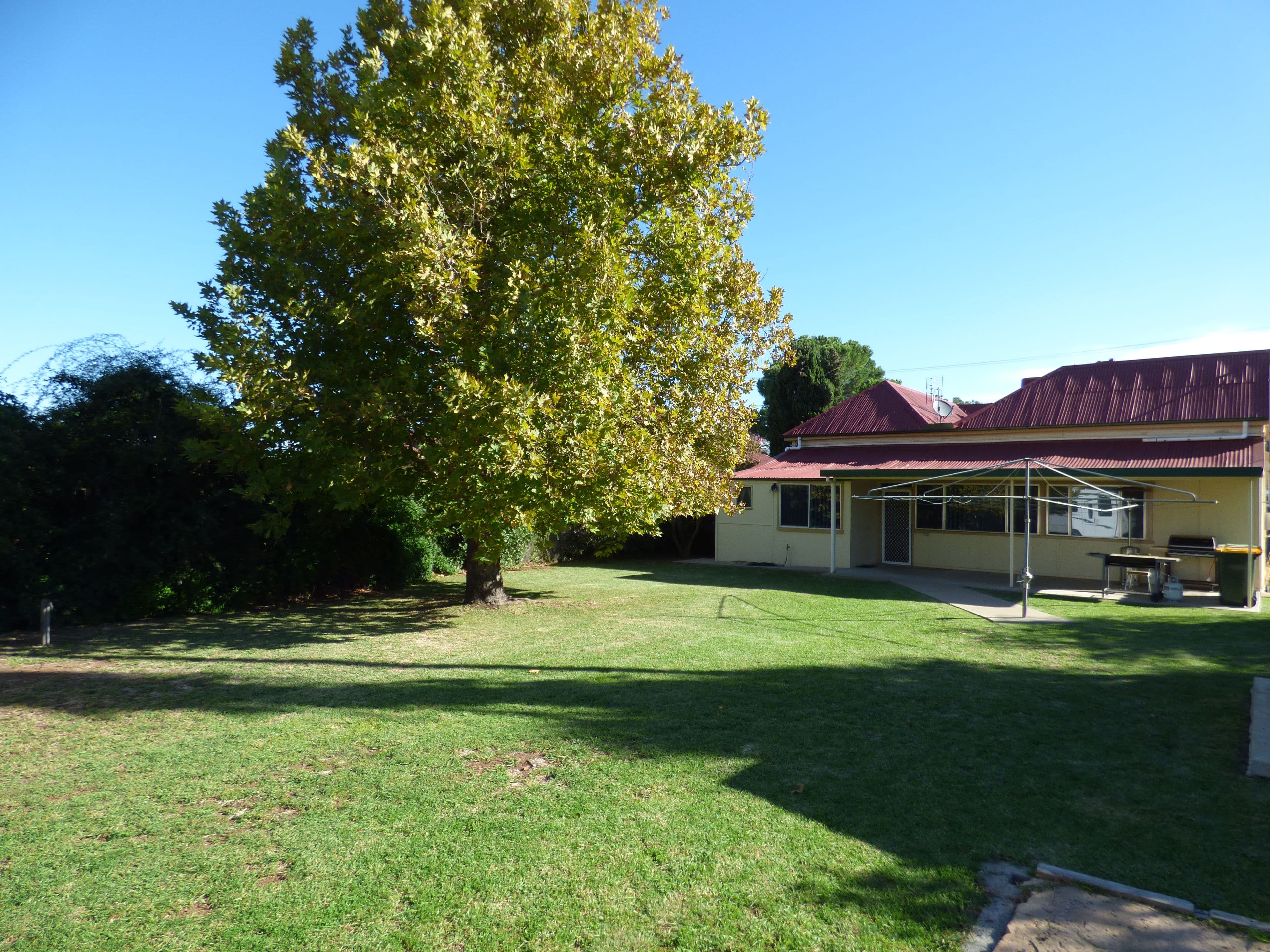 21 Battye Street, Forbes - Thumbnail 2