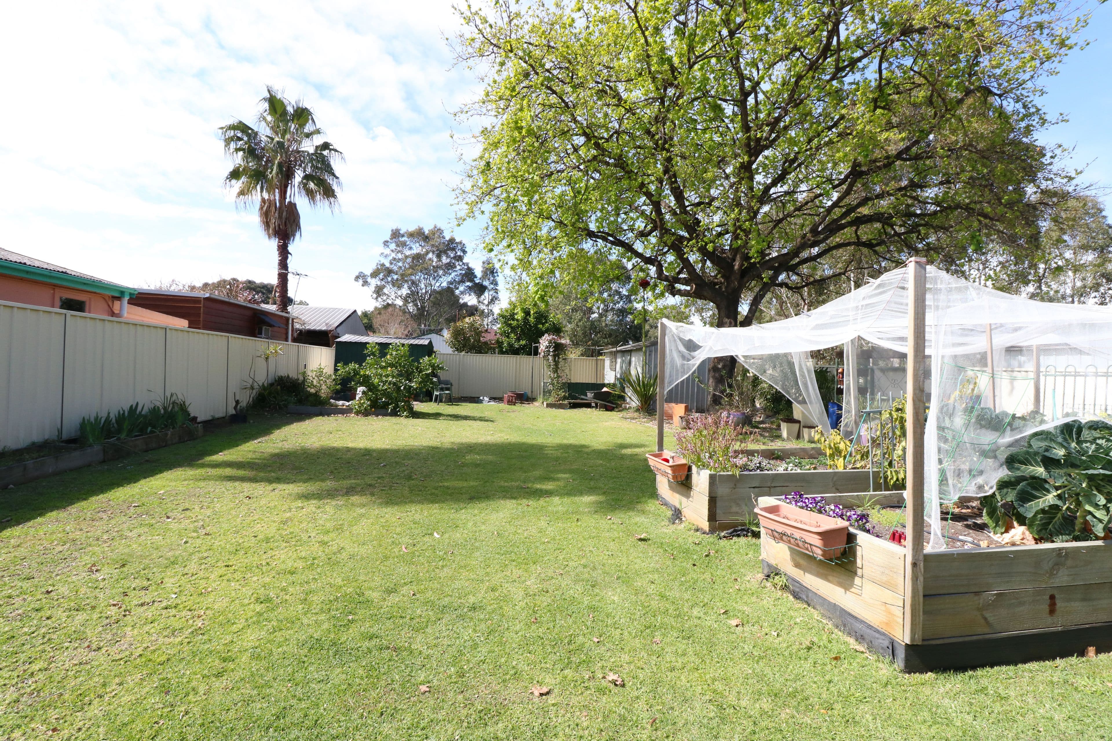 71 Avoca Road, Canley Heights - Thumbnail 8