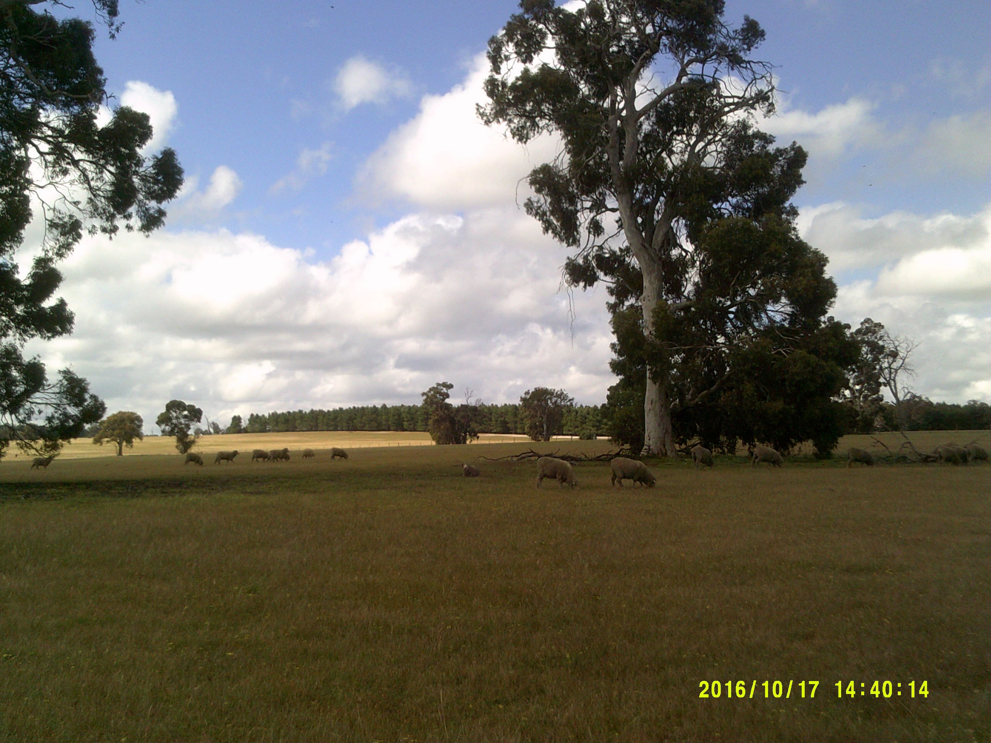 Riverbends The House, 137 Ryan Road, KOJONUP WA 6395, Kojonup - Thumbnail 5