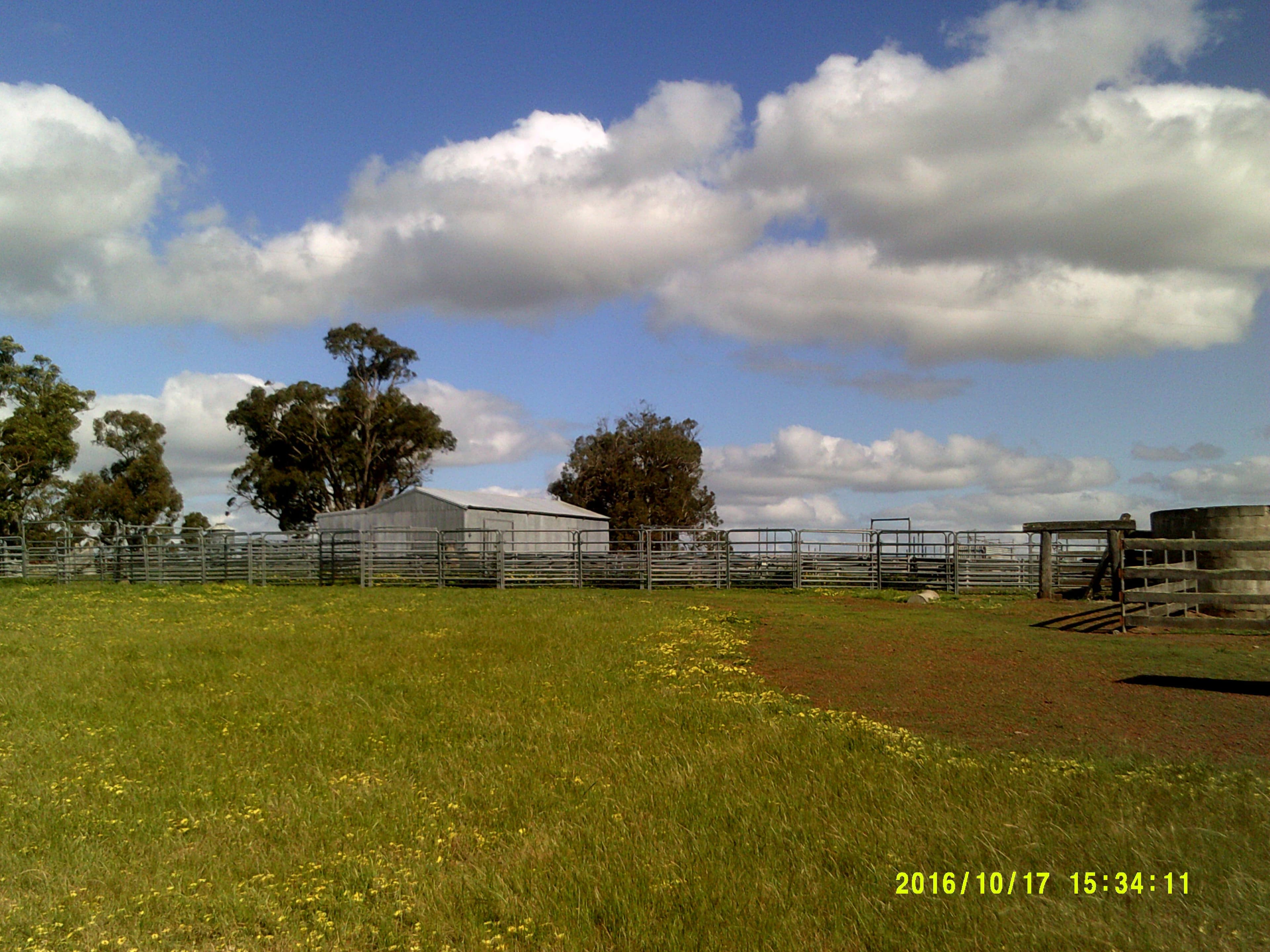 Riverbends The House, 137 Ryan Road, KOJONUP WA 6395, Kojonup - Thumbnail 2