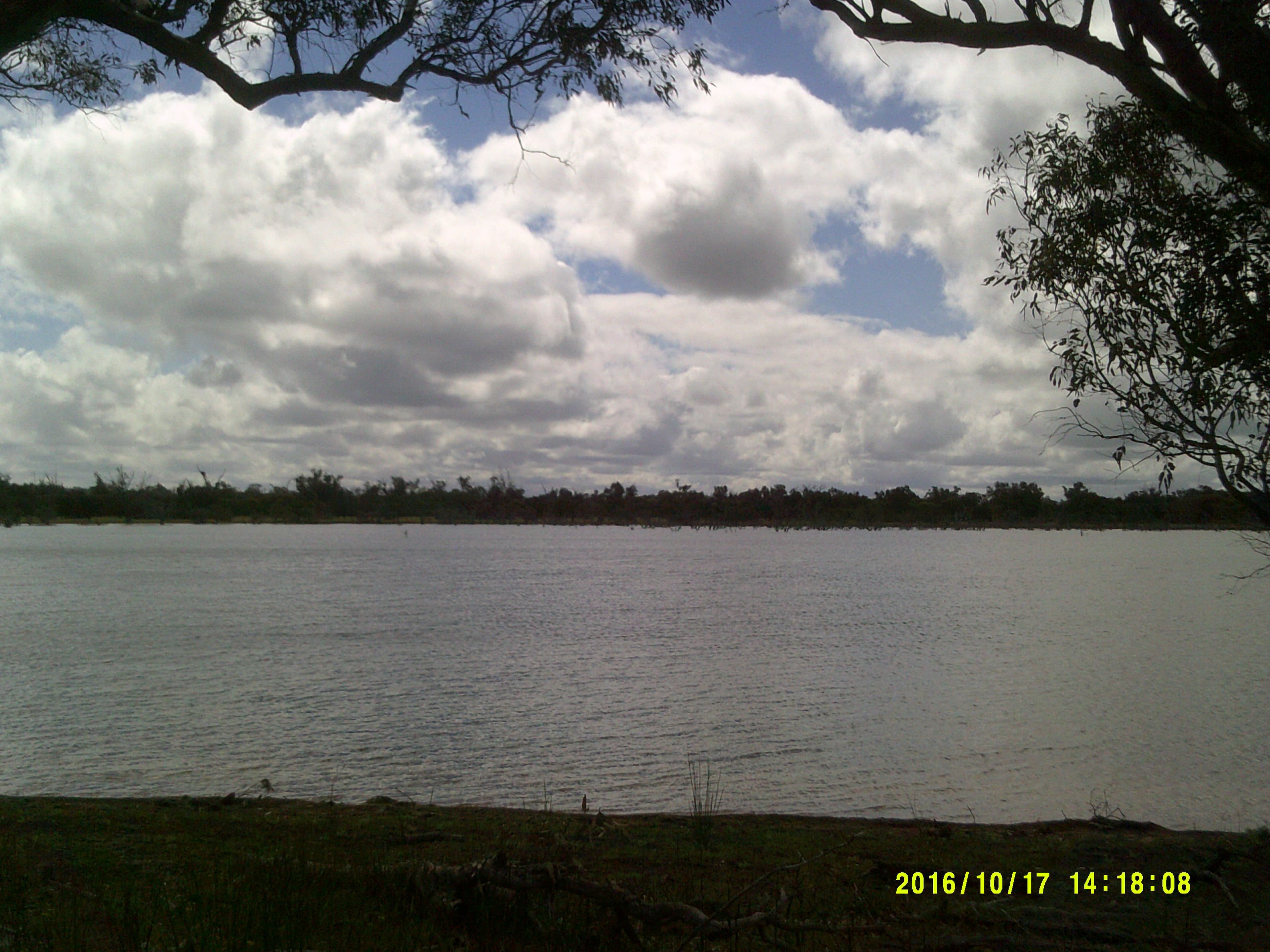Riverbends The House, 137 Ryan Road, KOJONUP WA 6395, Kojonup - Thumbnail 8
