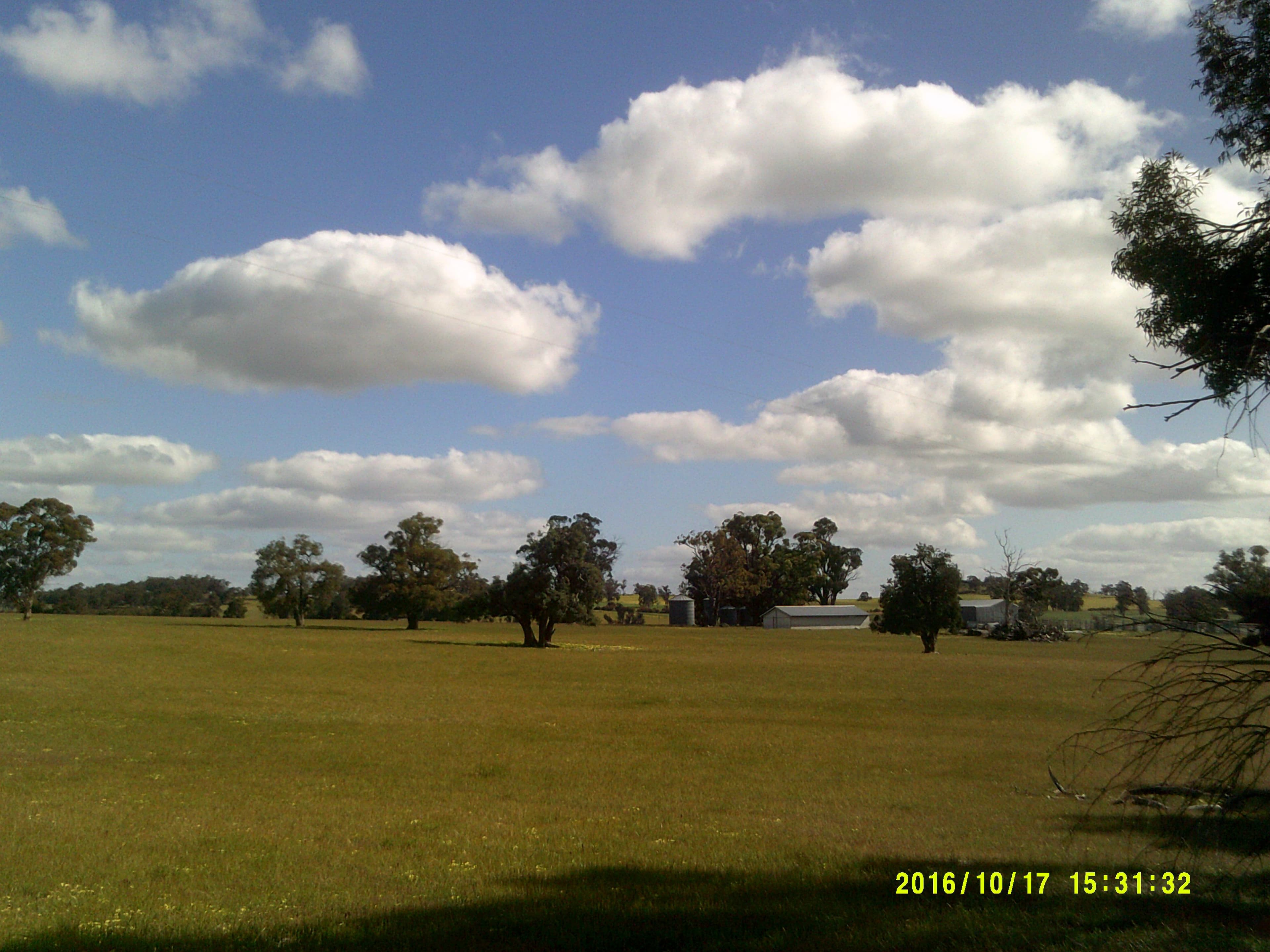 Riverbends The House, 137 Ryan Road, KOJONUP WA 6395, Kojonup - Thumbnail 3