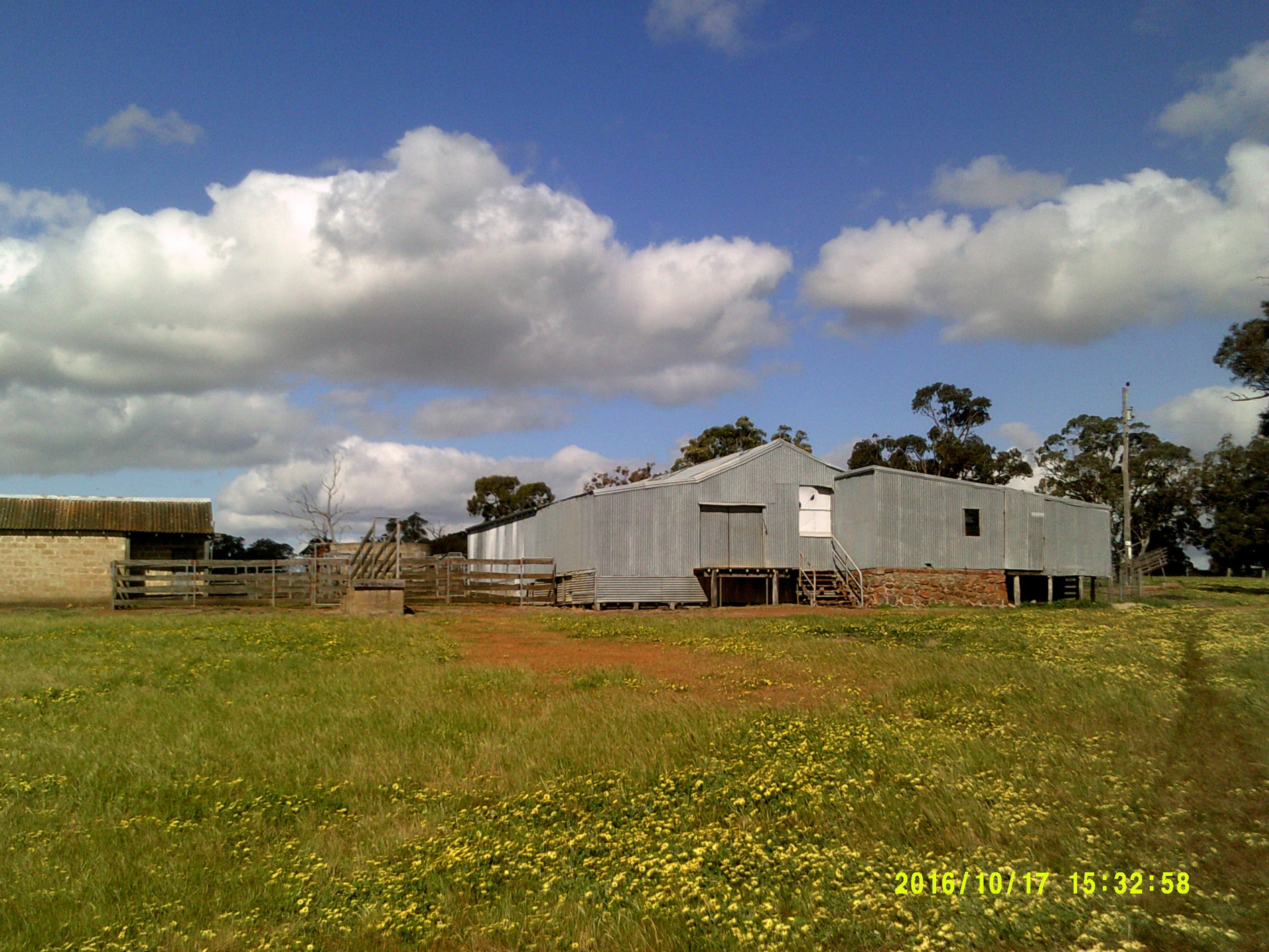 Riverbends The House, 137 Ryan Road, KOJONUP WA 6395, Kojonup - Thumbnail 4