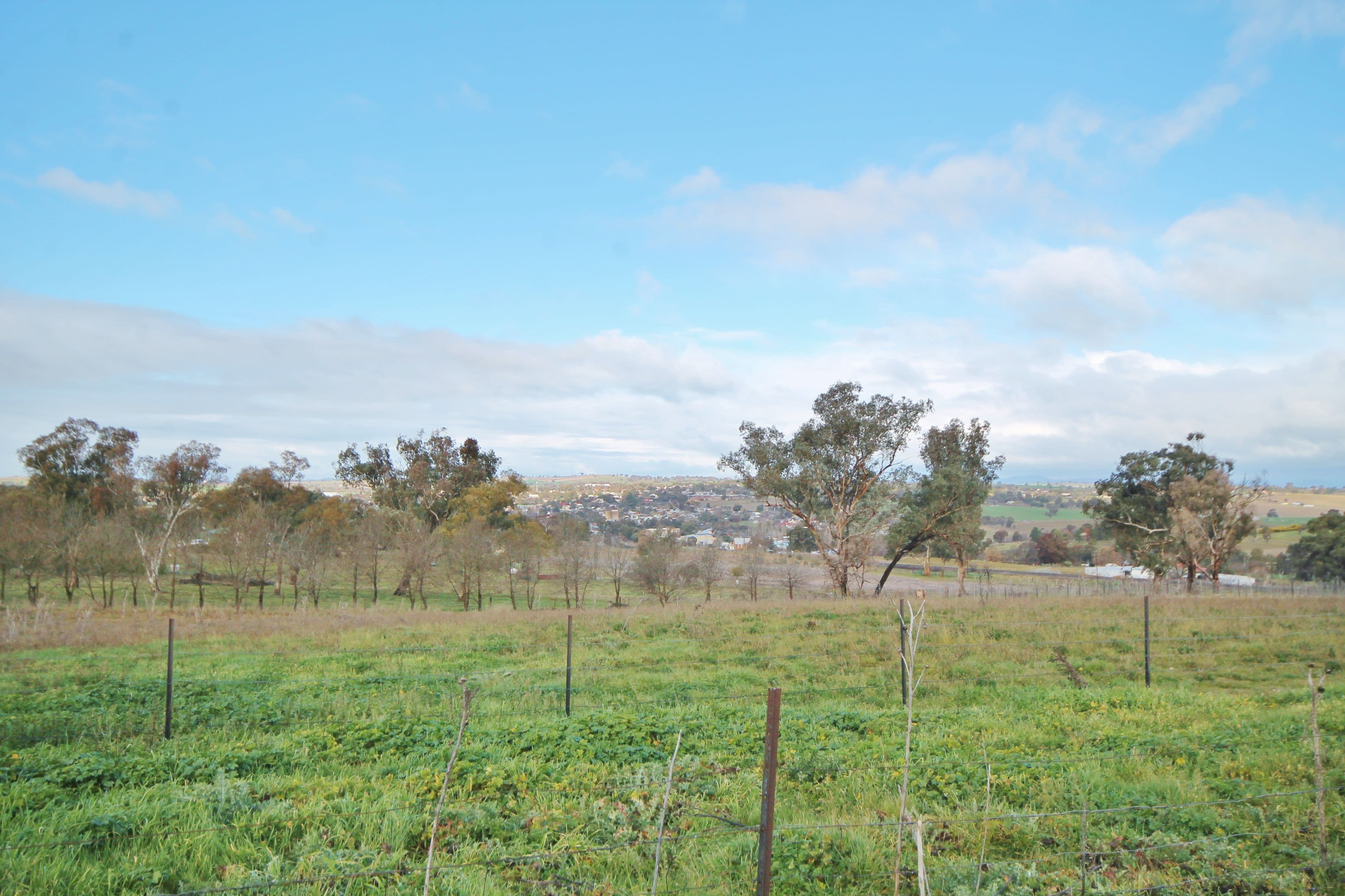 "Townsview" 133 Back Demondrille Road, MURRUMBURRAH NSW 2587, Murrumburrah - Thumbnail 2