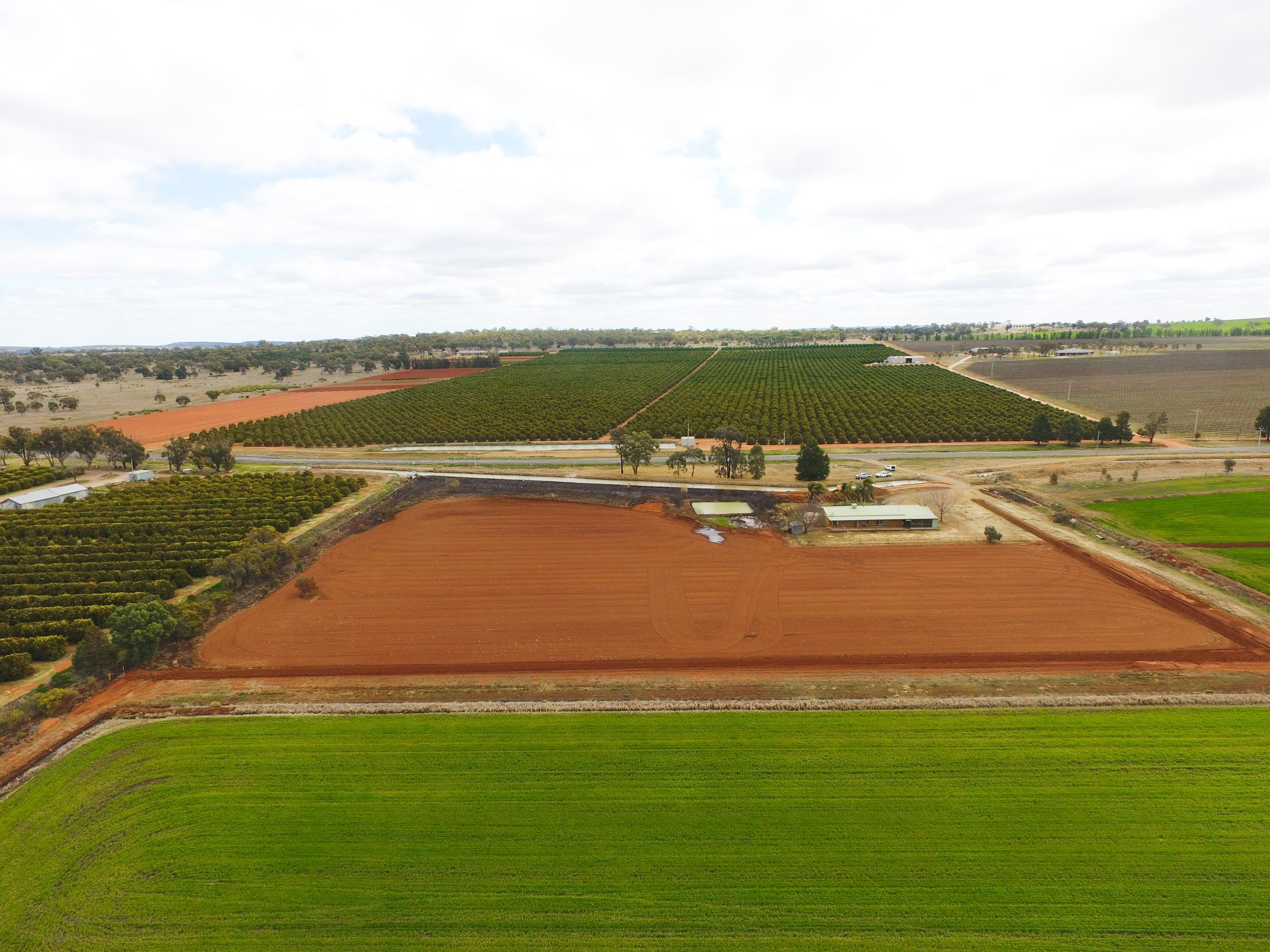 Farm 1653A Rankins Springs Road, Beelbangera NSW 2680, Beelbangera - Thumbnail 2