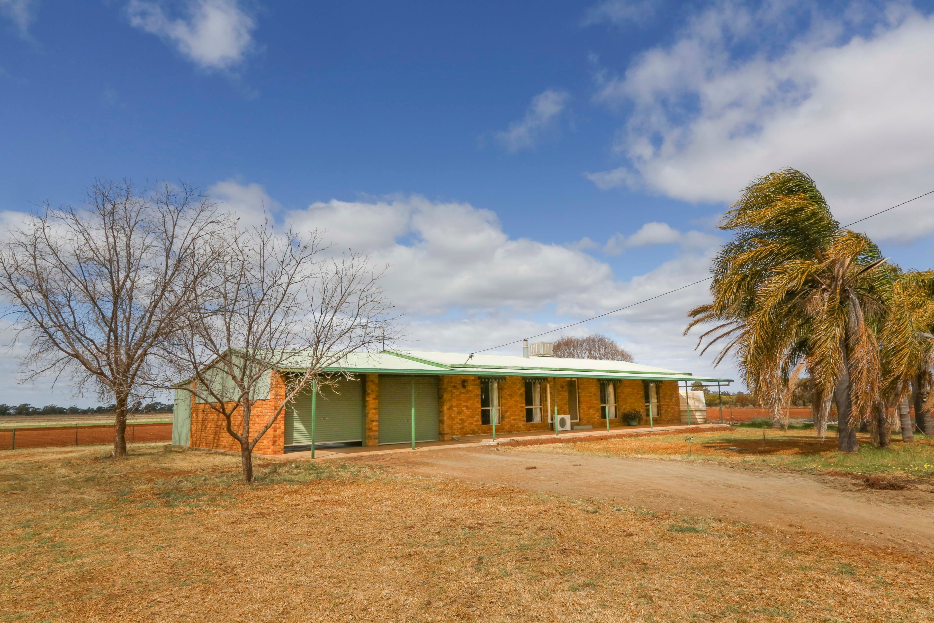 Farm 1653A Rankins Springs Road, Beelbangera NSW 2680, Beelbangera - Thumbnail 5