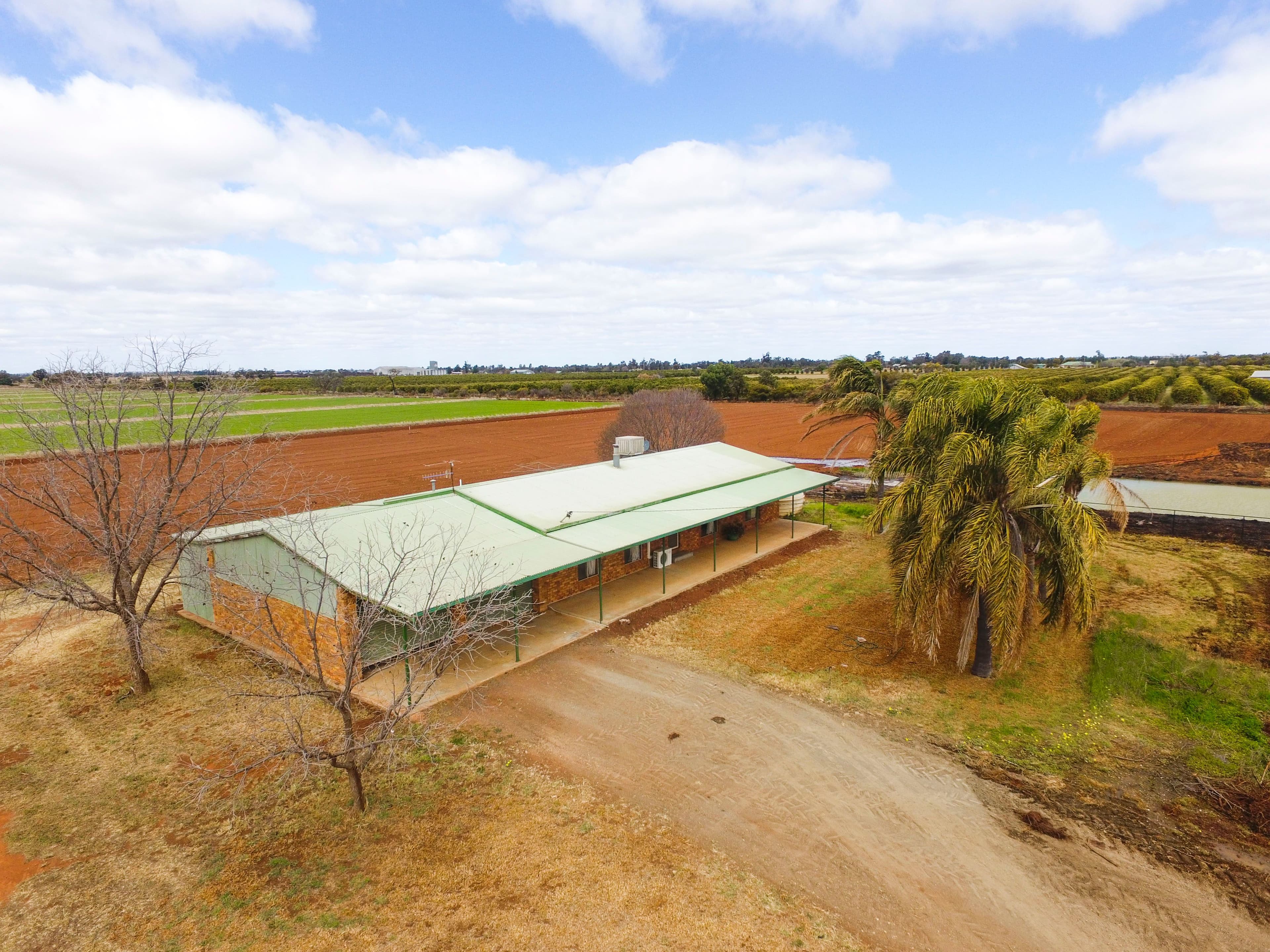 Farm 1653A Rankins Springs Road, Beelbangera NSW 2680, Beelbangera - Thumbnail 4