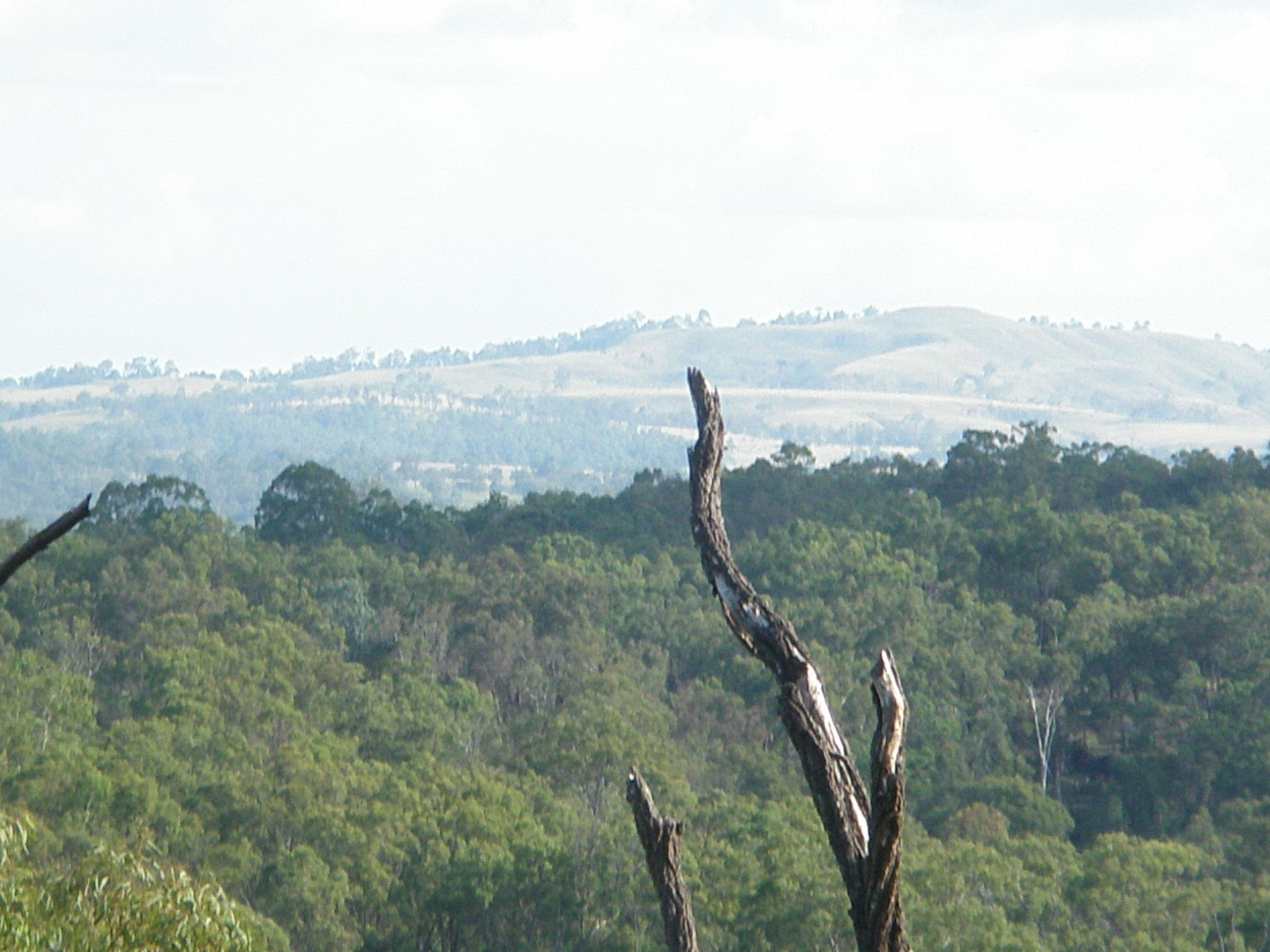 LOT 73 Maidenwell-Cooyar Road, Maidenwell QLD 4615, Maidenwell - Image 1